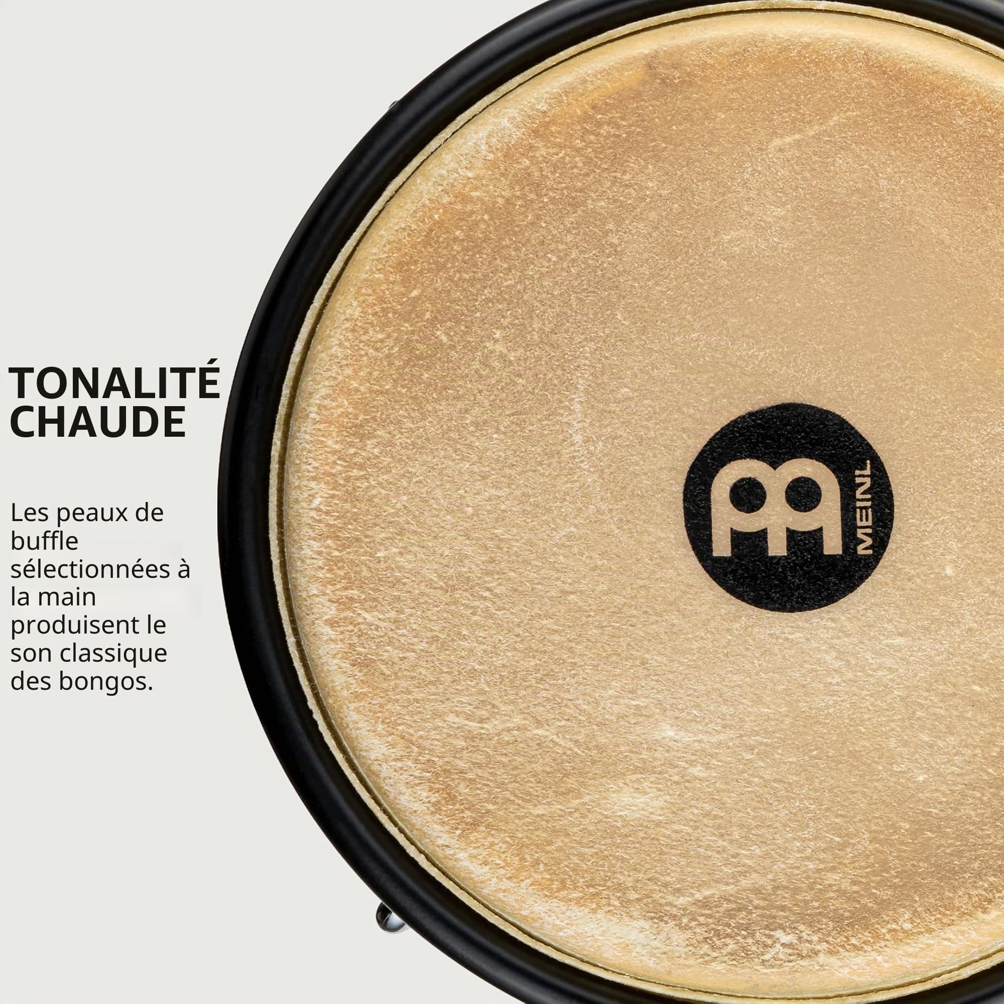 Meinl Percussion Bongos Headliner Wood - deux hand drums de 6,75 et 8 pouces - avec clé d'accord - chêne du Siam, Noir (HB100VWB-M)
