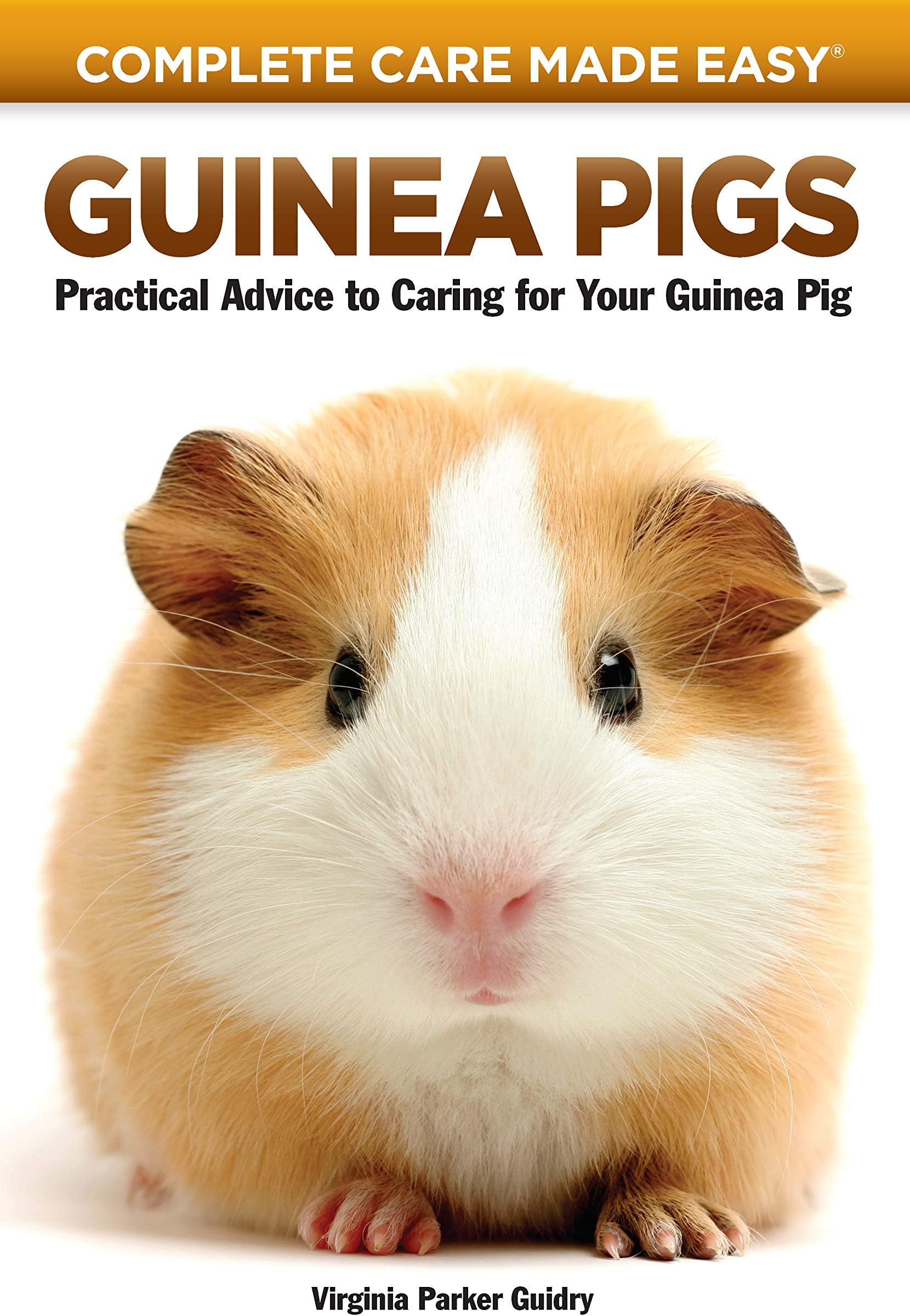 Guinea Pigs: Complete Care Made Easy-Practical Advice To Caring For your Guinea Pig Paperback – 2 January 2005