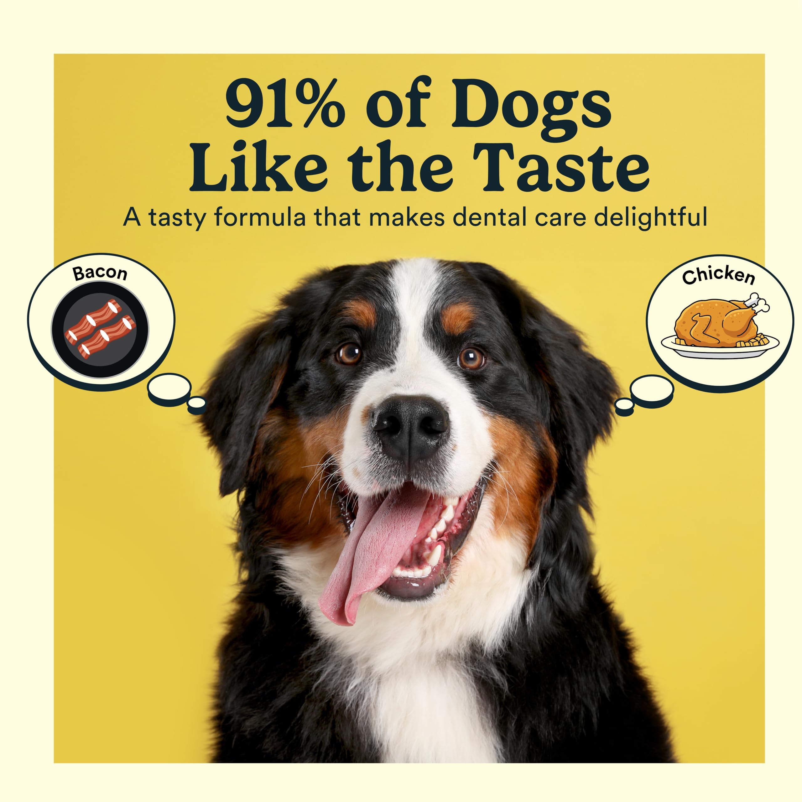 Jasper Dog Tooth Brushing Kit and Dog Toothpaste Kit with Dog Toothbrush Enzymatic, Plaque Remover Imporves Bad Breath Natural Pet Toothpaste Dog Toothbrush and Toothpaste 2 oz Bacon Flavor - image 2