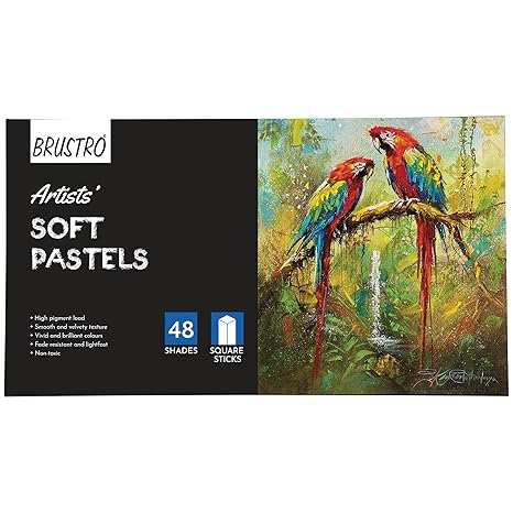BRUSTRO Artists Soft Pastels Set of 48 | Ideal for Layering, Blending, Scumbling, Vivid Colours, Intense Shades, Highly Pigmented, Fade Resistant Colors - Image 6