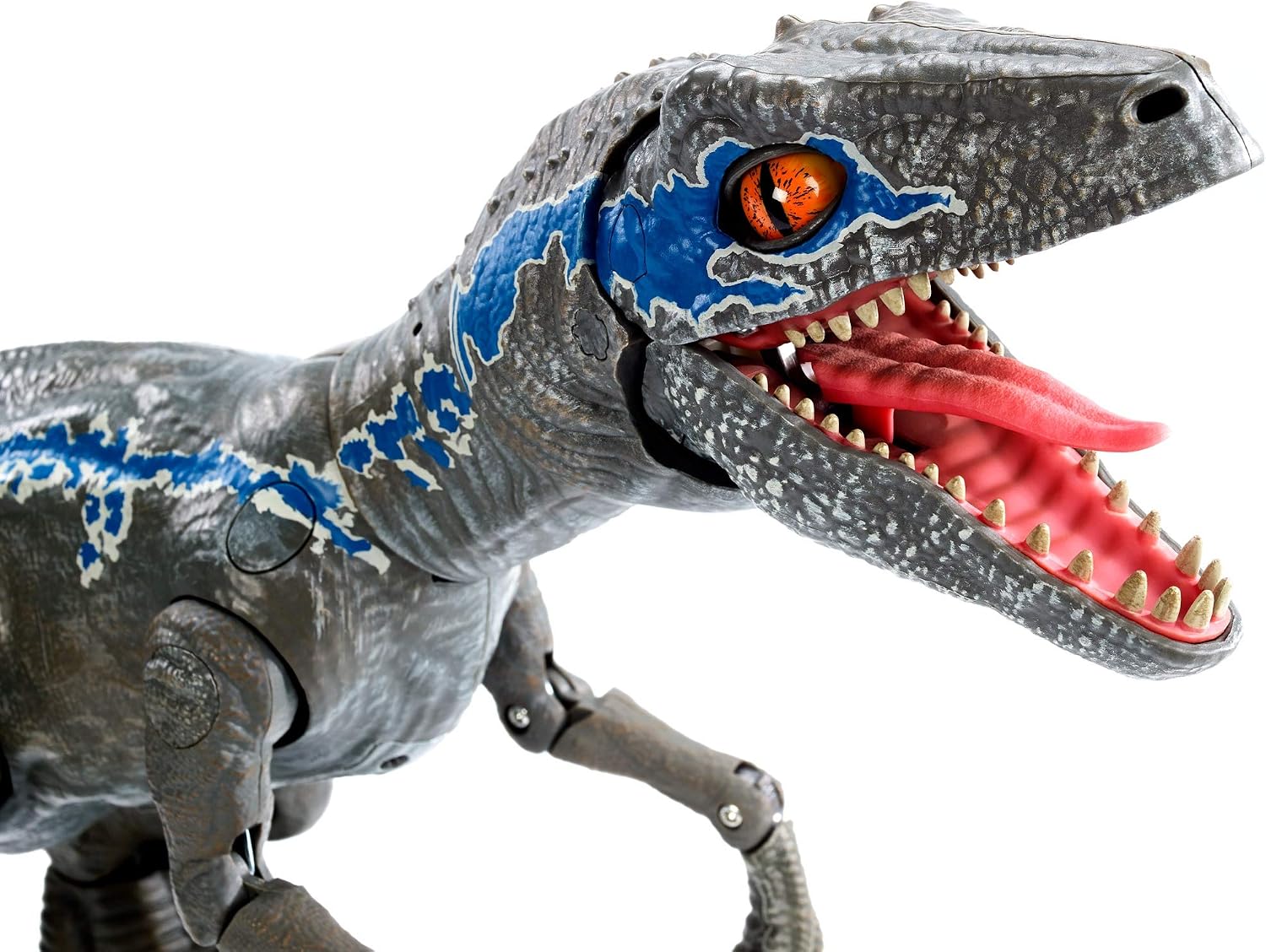 Jurassic World - Dinosaurio interactivo Alpha Training Blue (MAttel GCK30)  : Amazon.es: Juguetes y juegos