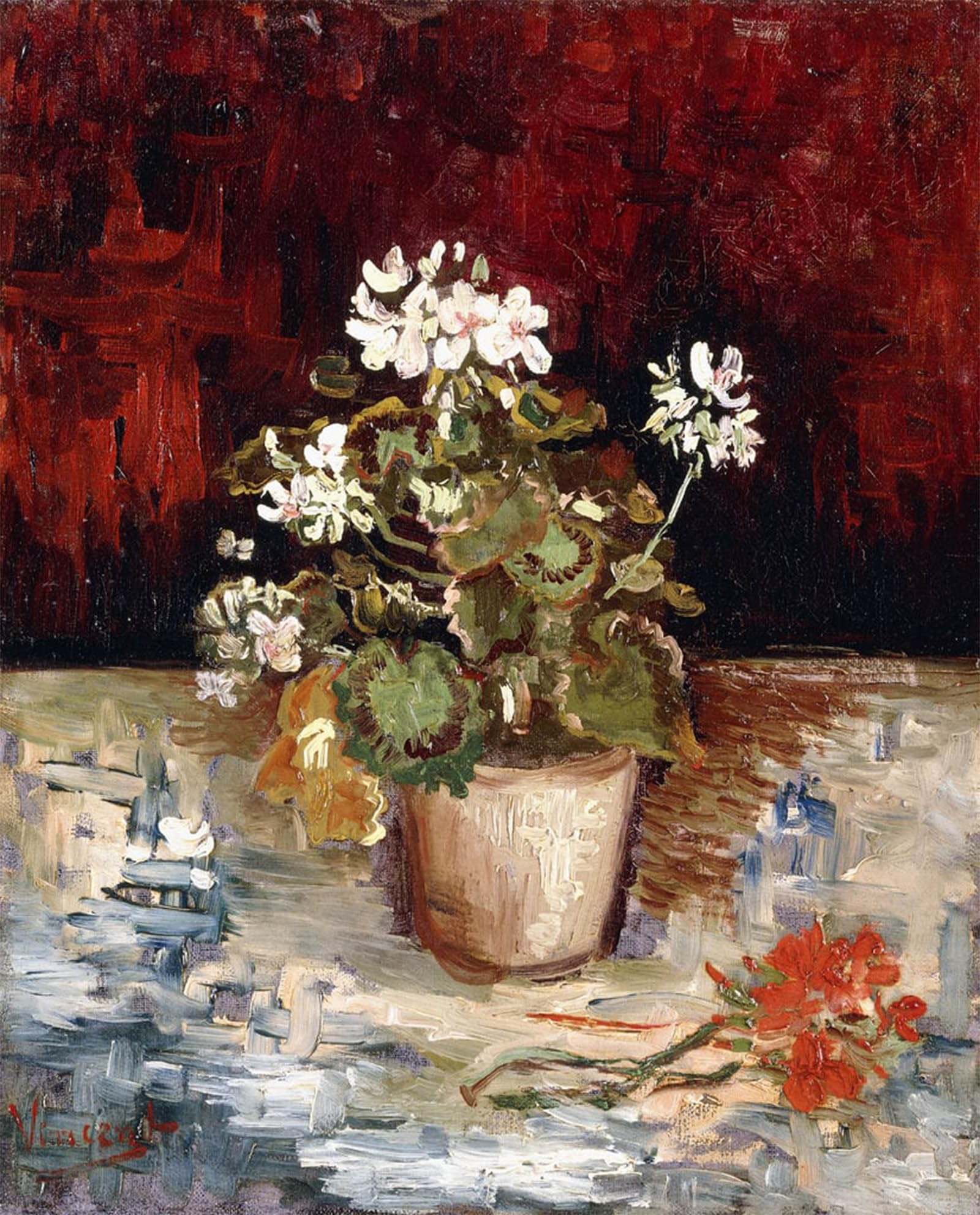 Toile Vincent Van Gogh Nature morte pot de géraniums poster 60x90cm - 5