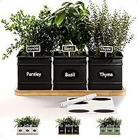 HBDesignCo Indoor Herb Planter - 3 Rust-Resistant Iron Pots with Drainage, Bamboo Tray, Chalkboard Labels & Marker for Windowsill Herb Garden