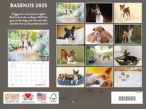 Vista 392 de Calendario Goldendoodle 2026 Golden Doodle mensual de pared calendario de 12 meses Fabricado en Estados Unidos