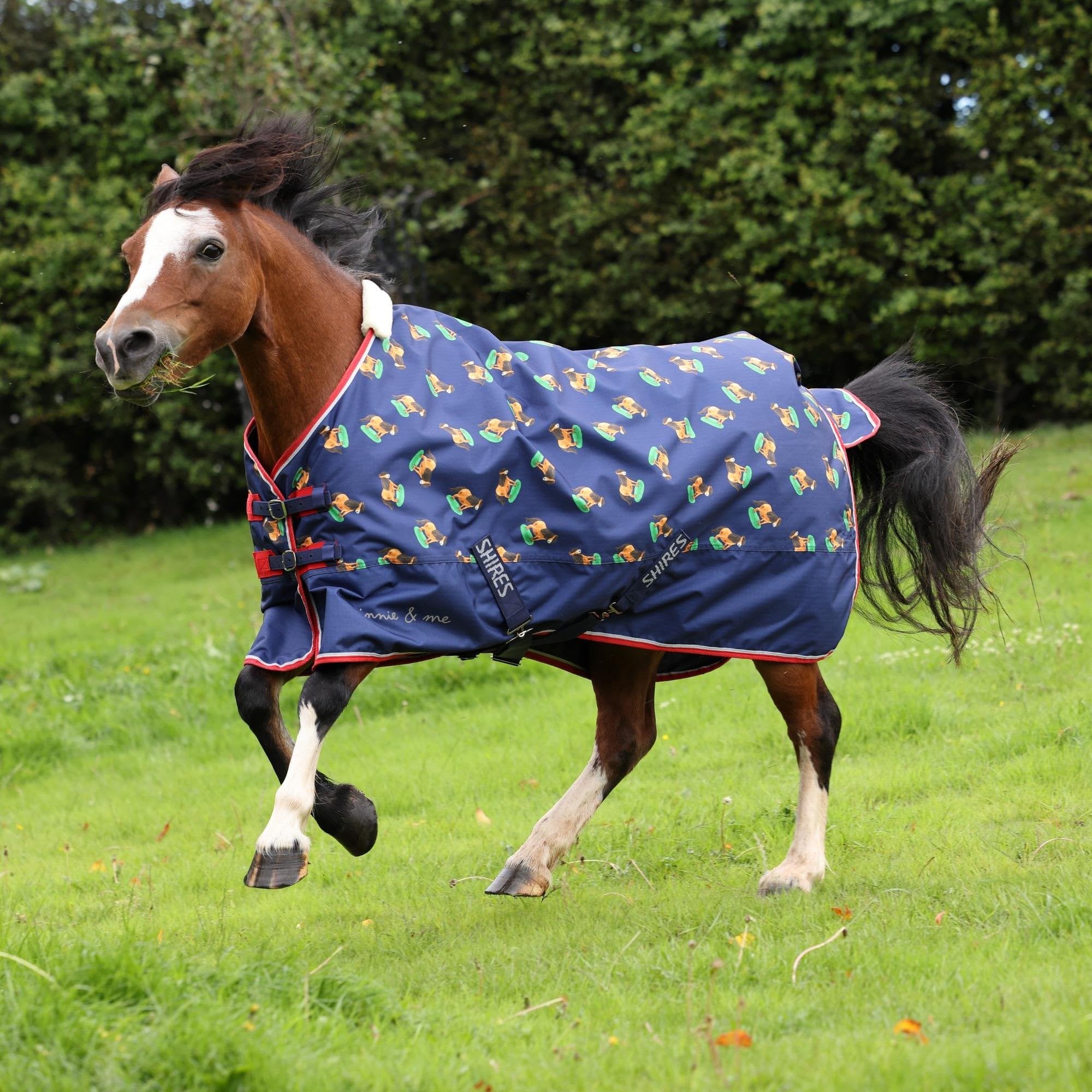 Shires Winnie & Me Lite Turnout Rug - Navy Blue 4ft6