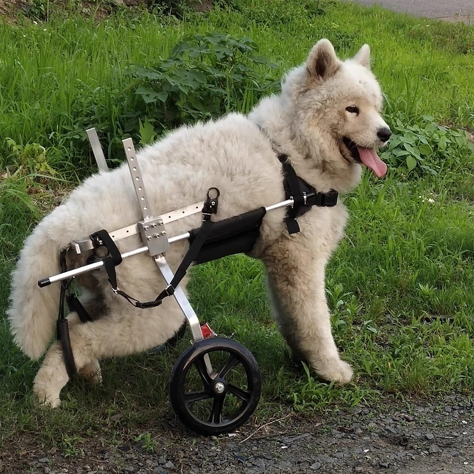 Fauteuil roulant chien deux roues chariot réglable pattes arrière