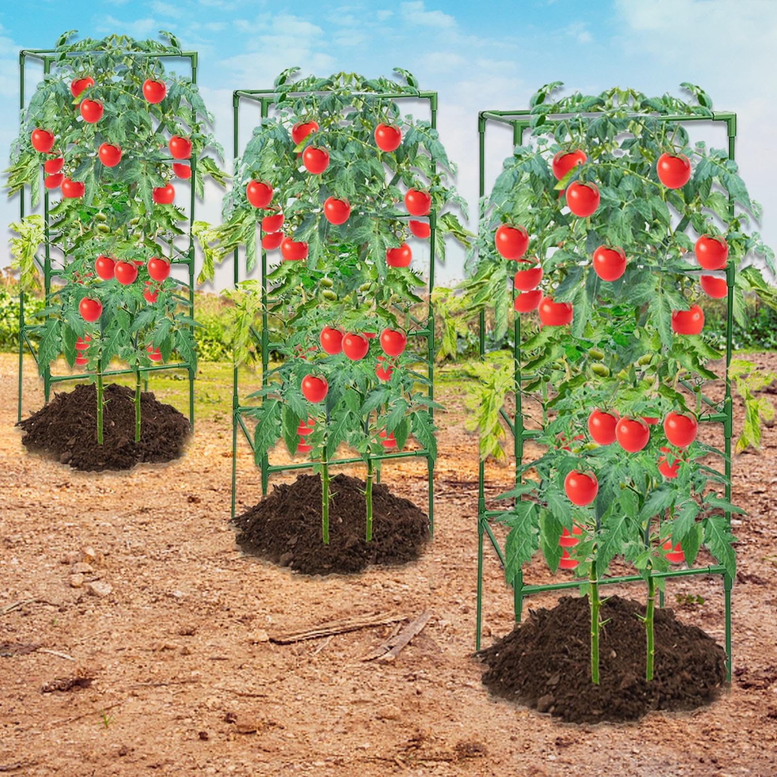 Entutorado para Tomates Soporte Cuadrado Ajustable en Altura de 3 Piezas | Tutor de Plantas Resistente para Judías Pepinos Verduras Rosas Peonías Macetas Bancal Elevado Jardín Patio Césped