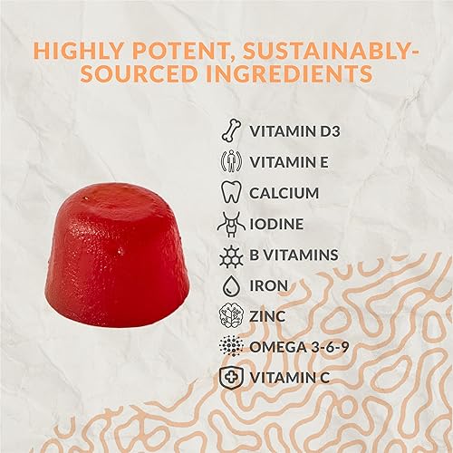 Miniatura 4 de Complete Kids - Gomitas multivitamínicas con Omega 3, 6, 9, vitamina B12, ácido fólico, yodo, vitamina C, zinc, vitaminas esenciales diarias para