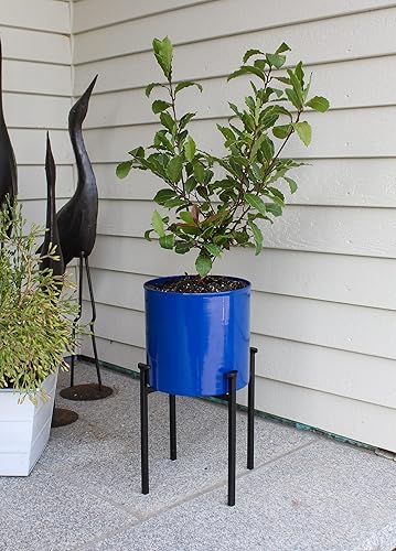 Miniatura 4 de Achla Designs Maceta Eileen con cuenco azul francés