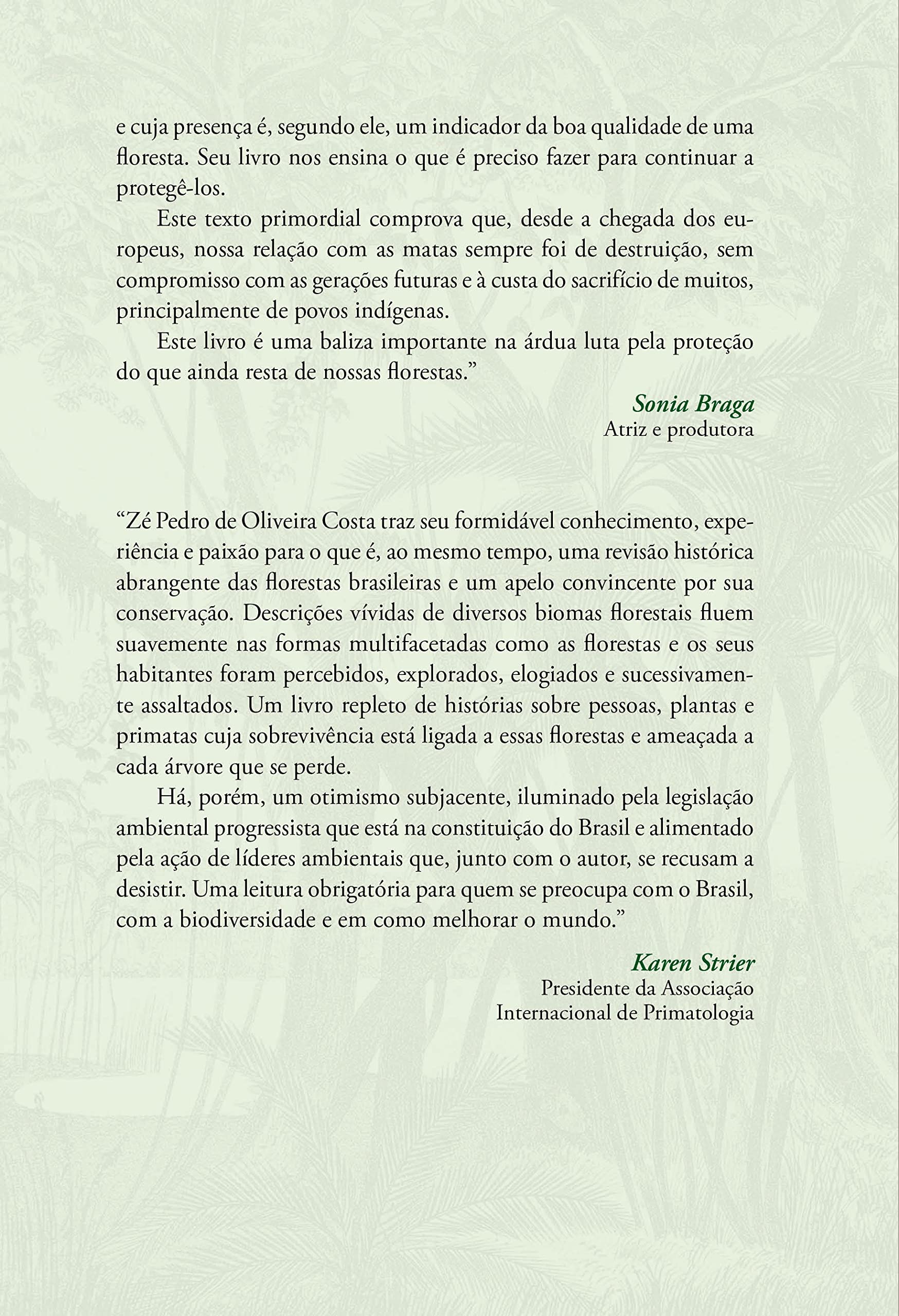 História das florestas brasileiras