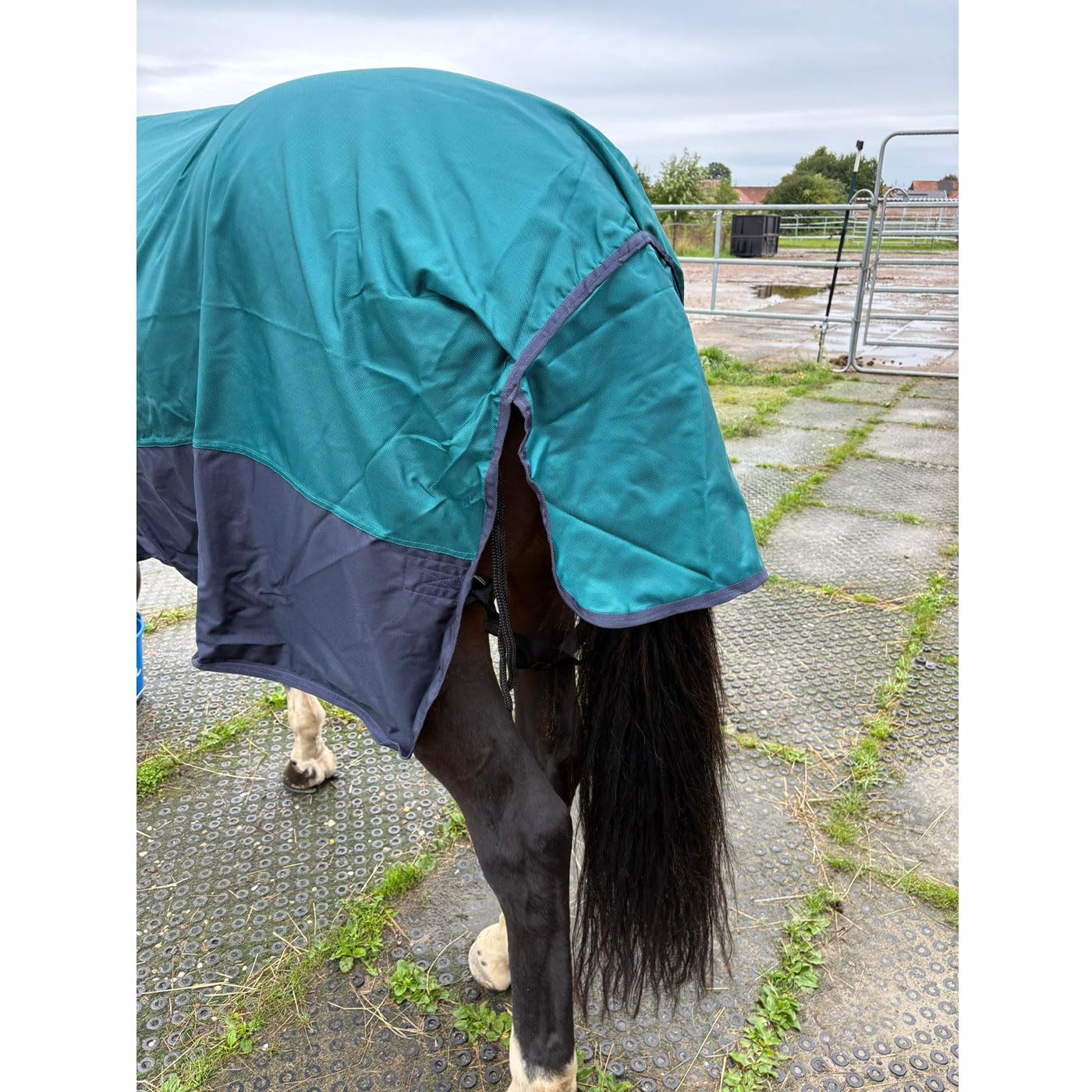 Brama-West - Manta para la lluvia, diseño de caballo Zara Turnout 1200D, manta de pasto para exteriores, resistente al agua y al viento (azul/azul marino, 175)