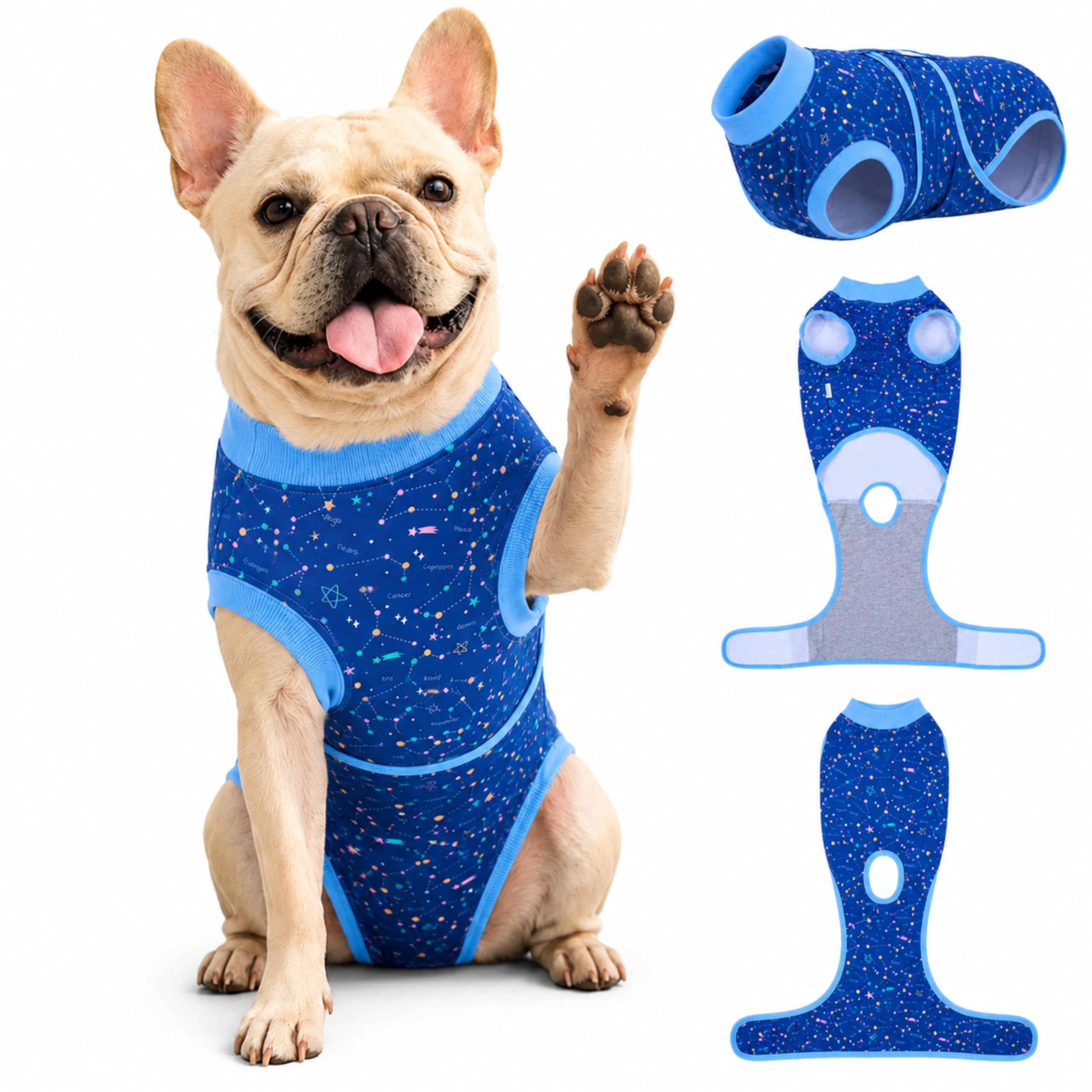 Gilet de récupération pour plaie de chien femelle convalescente XS