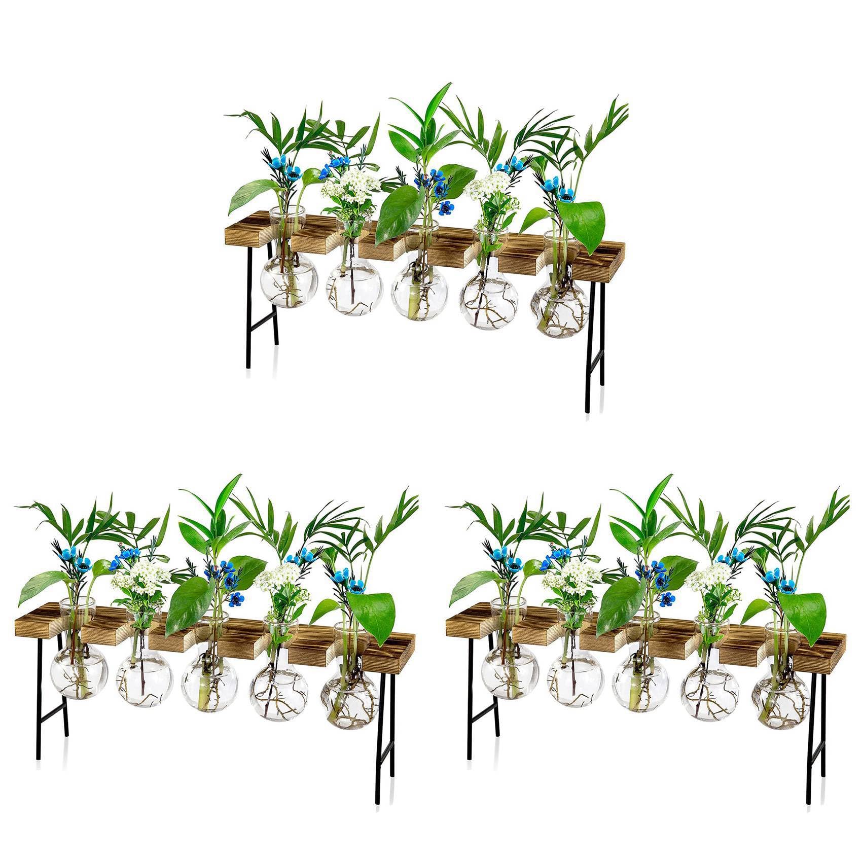 Vjsujehgy 3X Propagation Stations Desktop Air Plant Terrarium, Glass Planter Bulb Glass Vase with Wooden Stand - Plant Terrarium