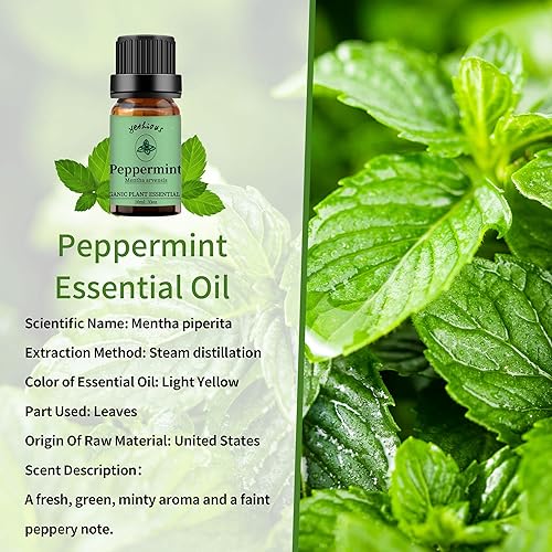 Miniatura 148 de yethious Aceites esenciales de sándalo para difusor y aromaterapia, aceite puro de sándalo para la piel, aceites para el cabello, 0.3 fl oz