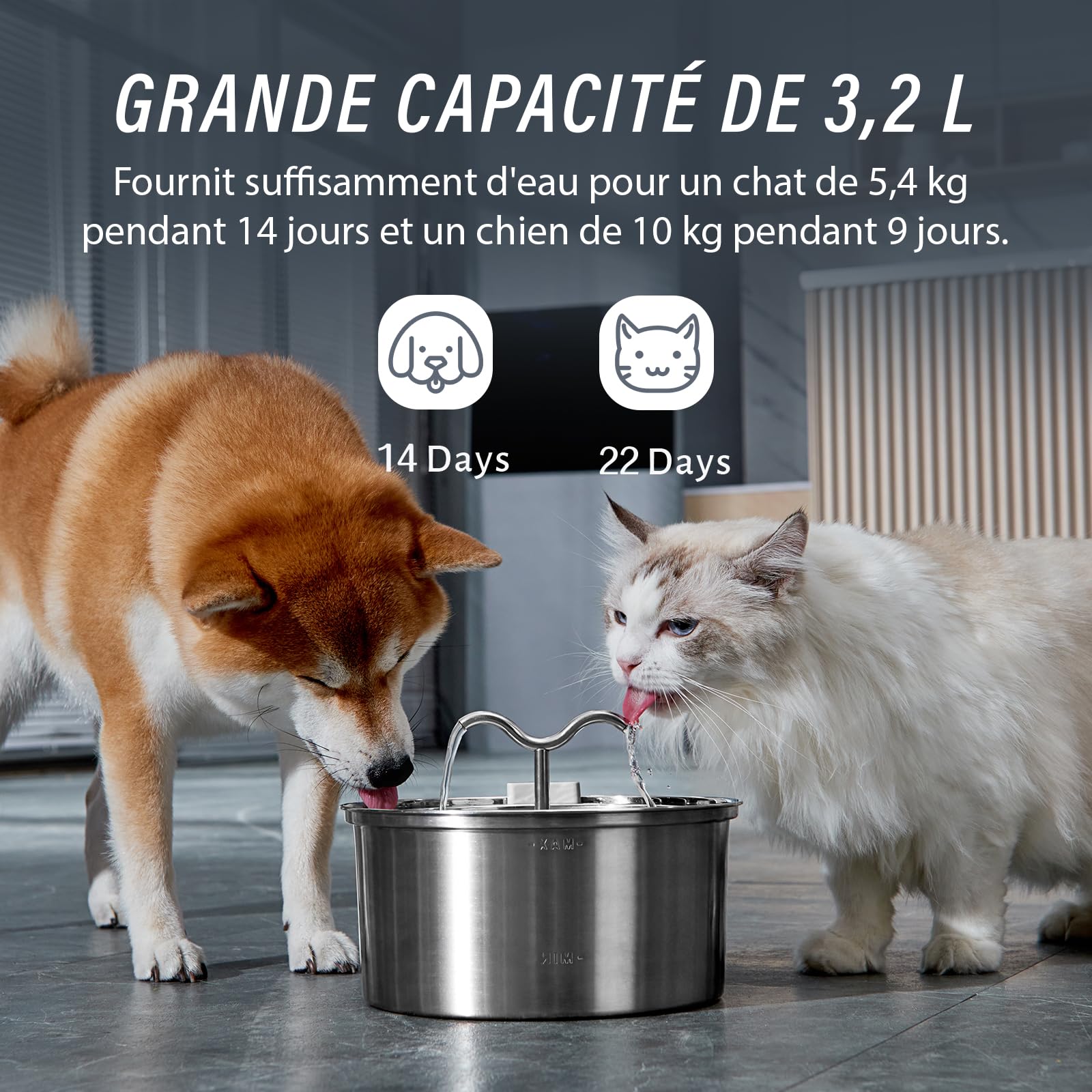DOOOB Fontaine a Eau Chat 3.2L, Fontaine à Eau Chat INOX avec Pompe Ultra-Silencieuse, Distributeur Fontaine a Eau pour Chien, 1 Filtre & 1 Éponge Inclus