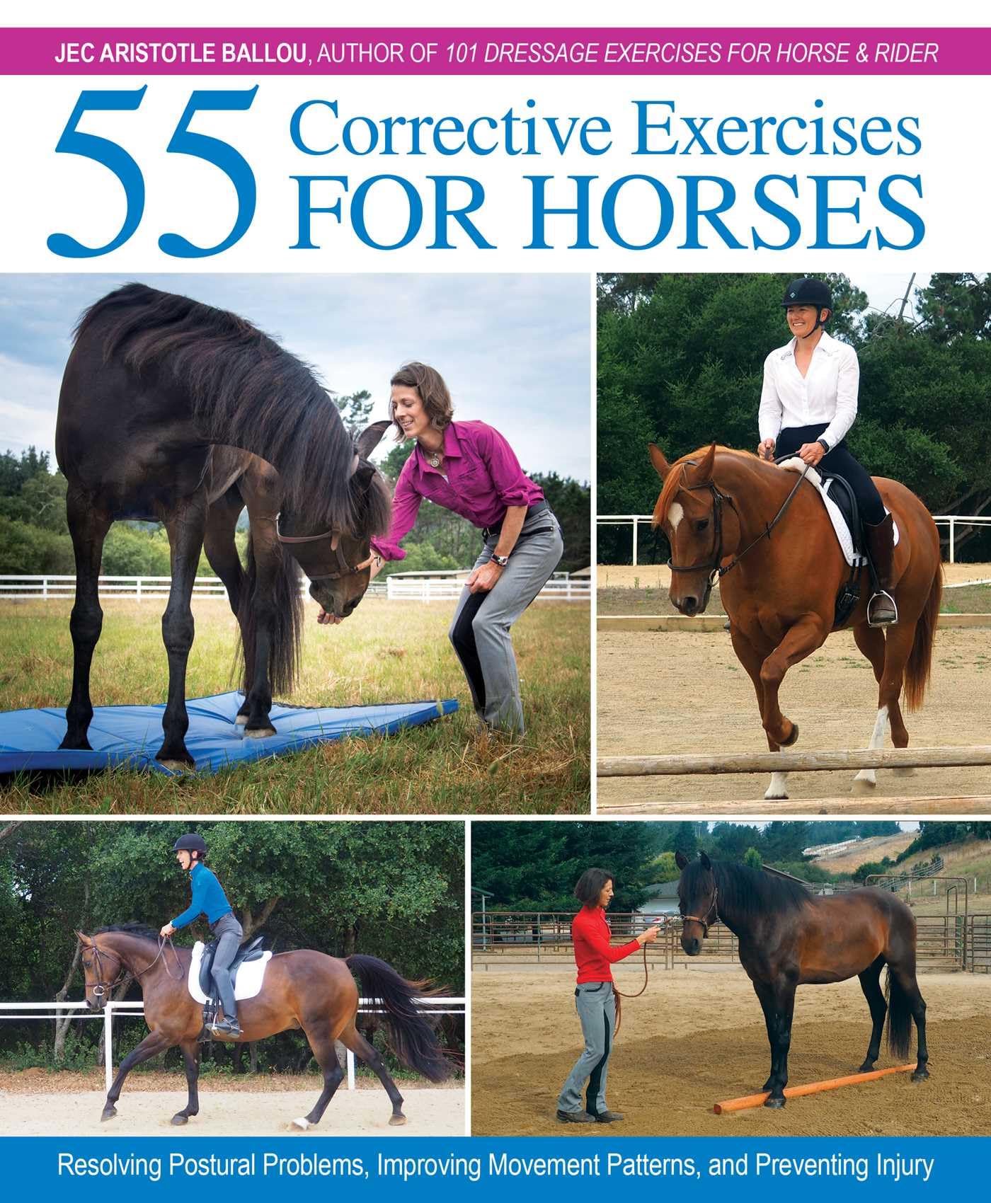 55 Corrective Exercises for Horses: Resolving Postural Problems, Improving Movement Patterns, and Preventing Injury Hardcover – June 5, 2018