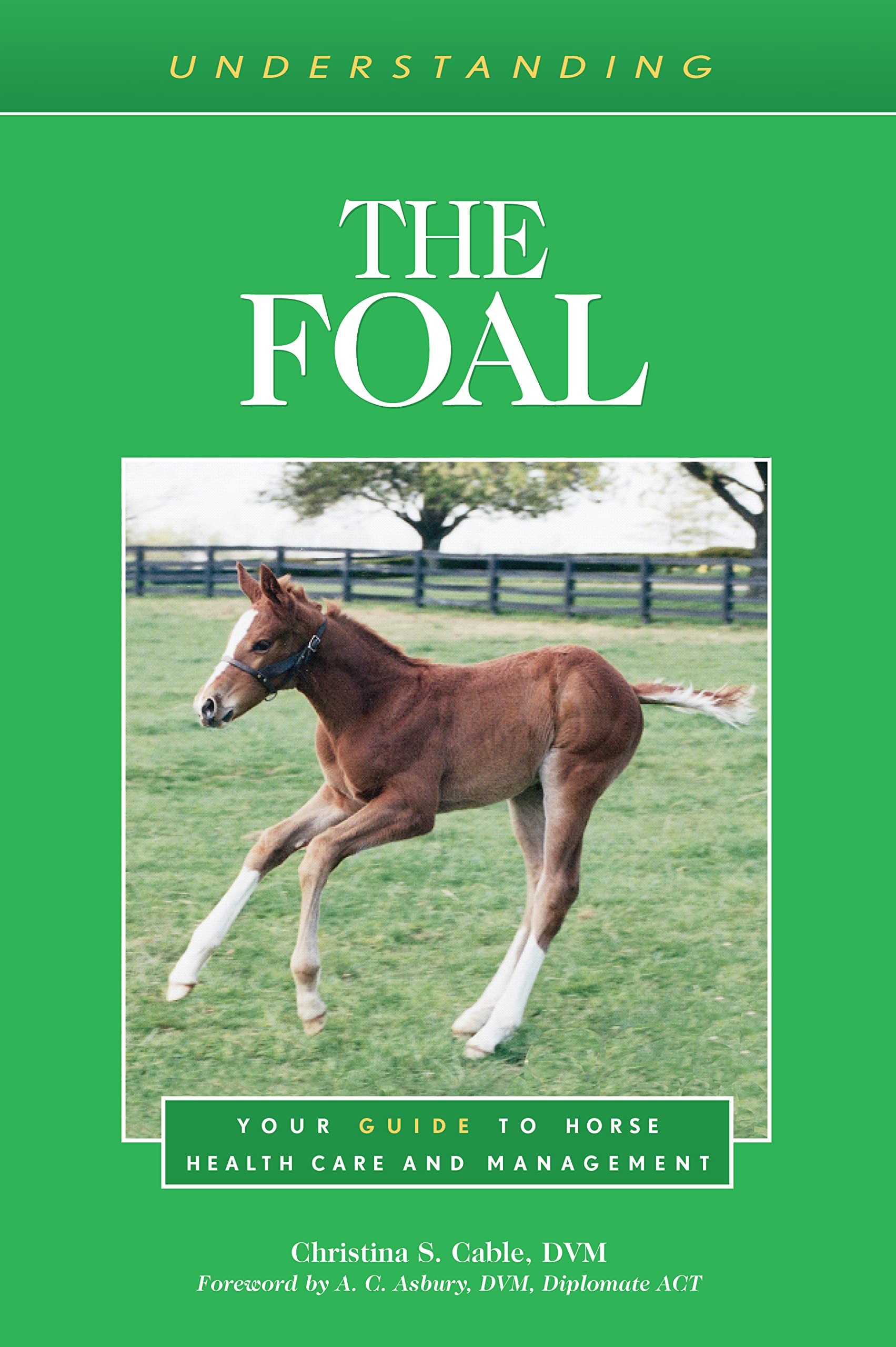 Buy Understanding the Foal: Your Guide to Horse Health Care and ...