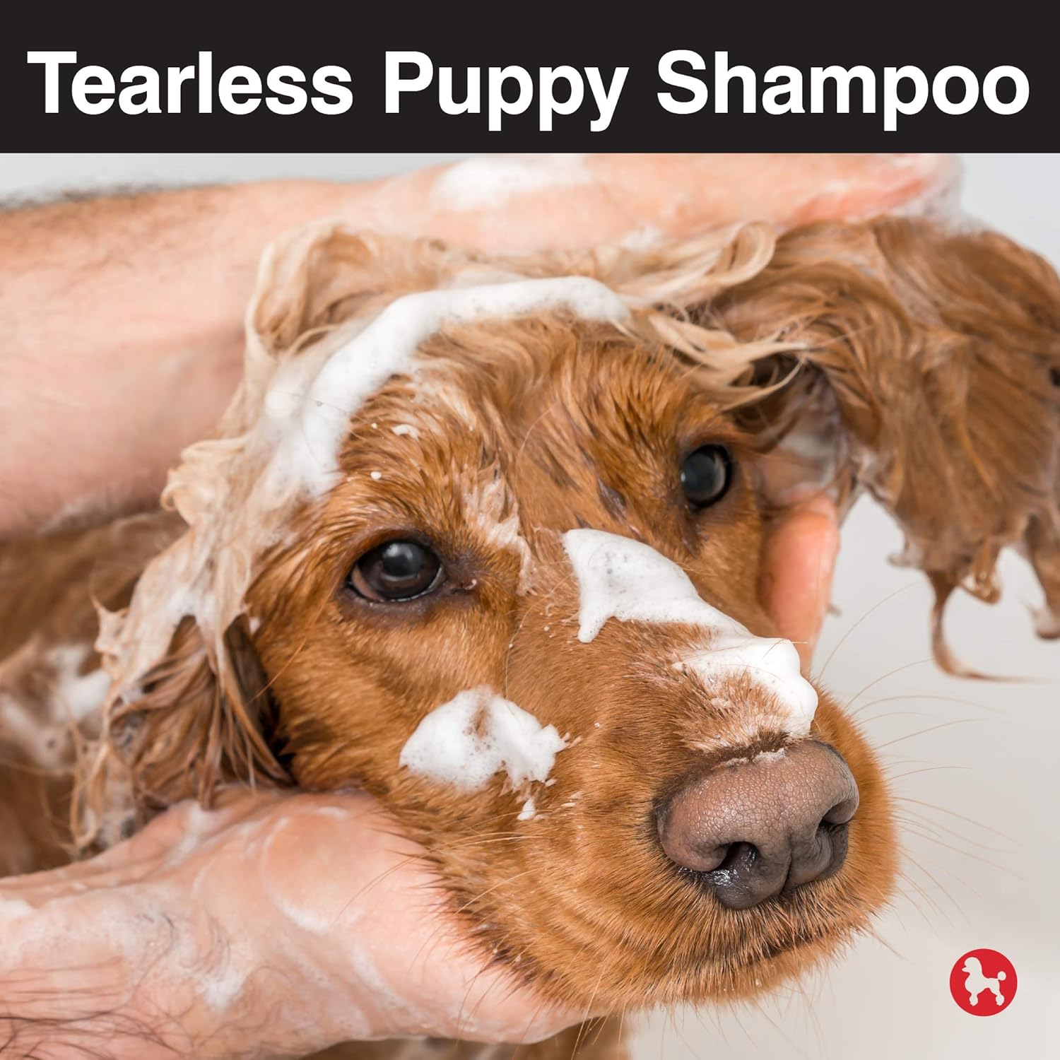 chi puppy shampoo