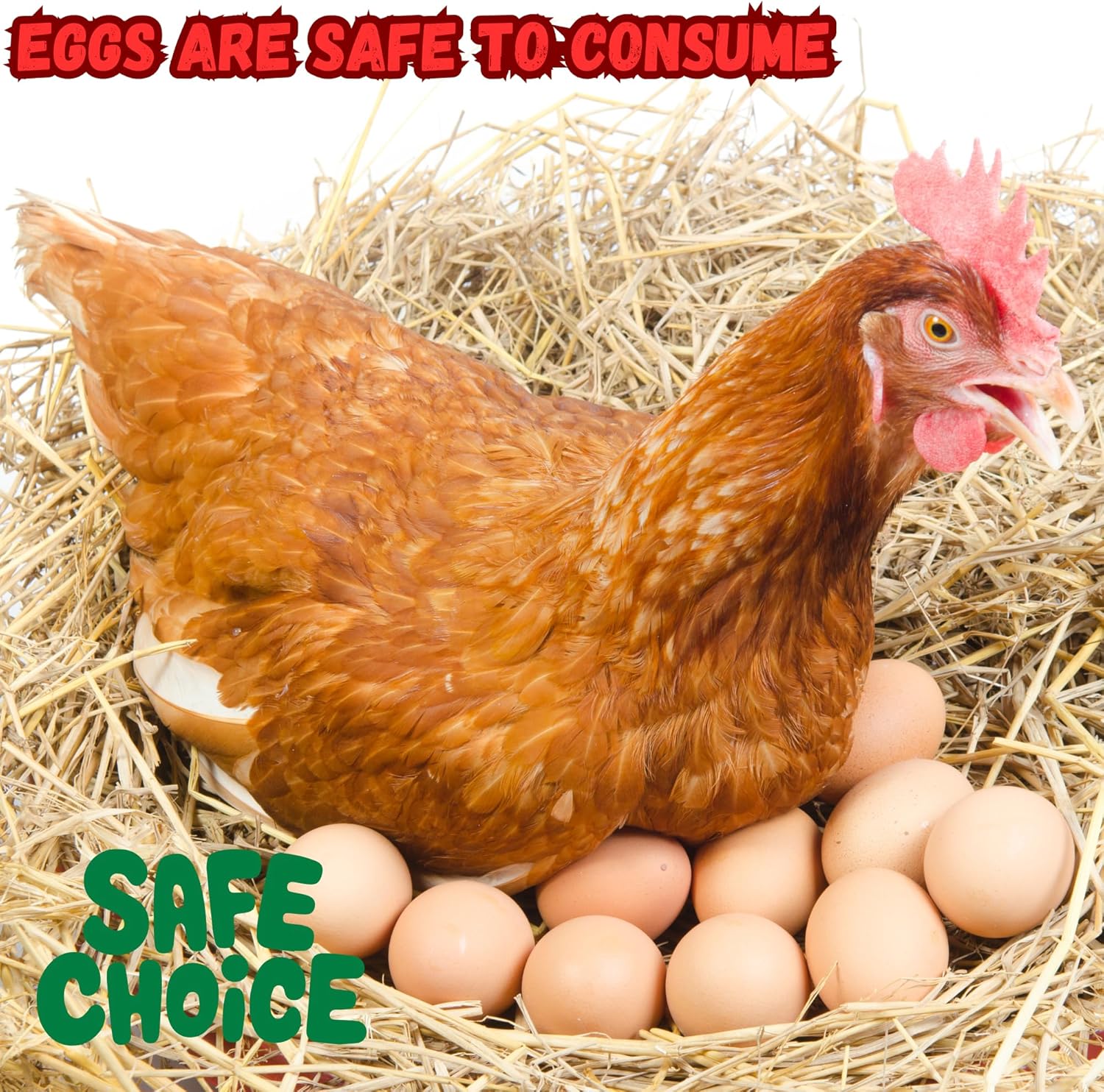 Chicken Digestive Support for Laying Hens – Natural Formula with Chili, Garlic & Pumpkin Seed – Helps Maintain Gut Health, Digestion & Metabolism for Backyard Chickens & Poultry | US-Made | 200g Pouch