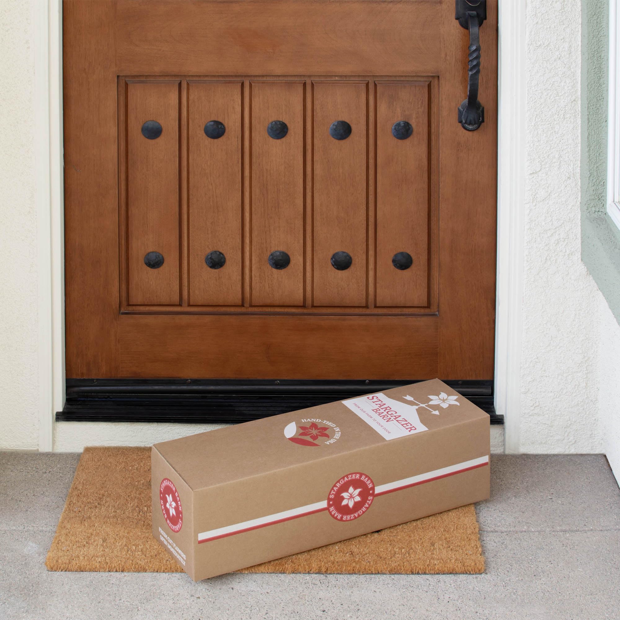 Stargazer Barn - Blooming Cheer Bouquet (Includes Glass Vase) - Fresh Flowers for Delivery - Gift for Anniversary, Birthday, Congratulations, Get Well, Graduation, Sympathy, Valentine's Day