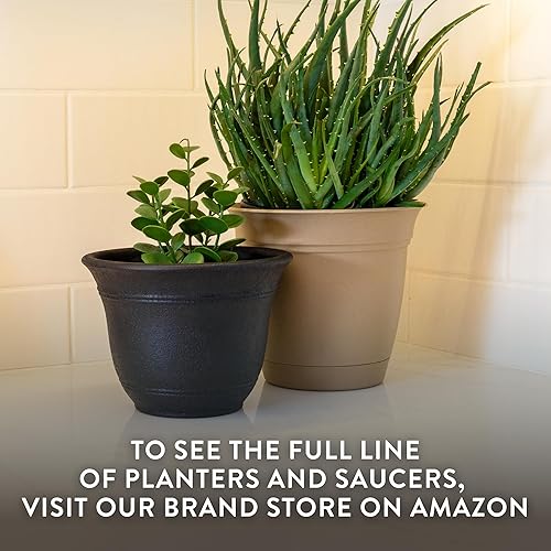 Miniatura 73 de The HC Companies Sierra - Maceta redonda de riego automático, maceta de plástico ligera para hierbas y más, macetas duraderas para plantas de Bronce