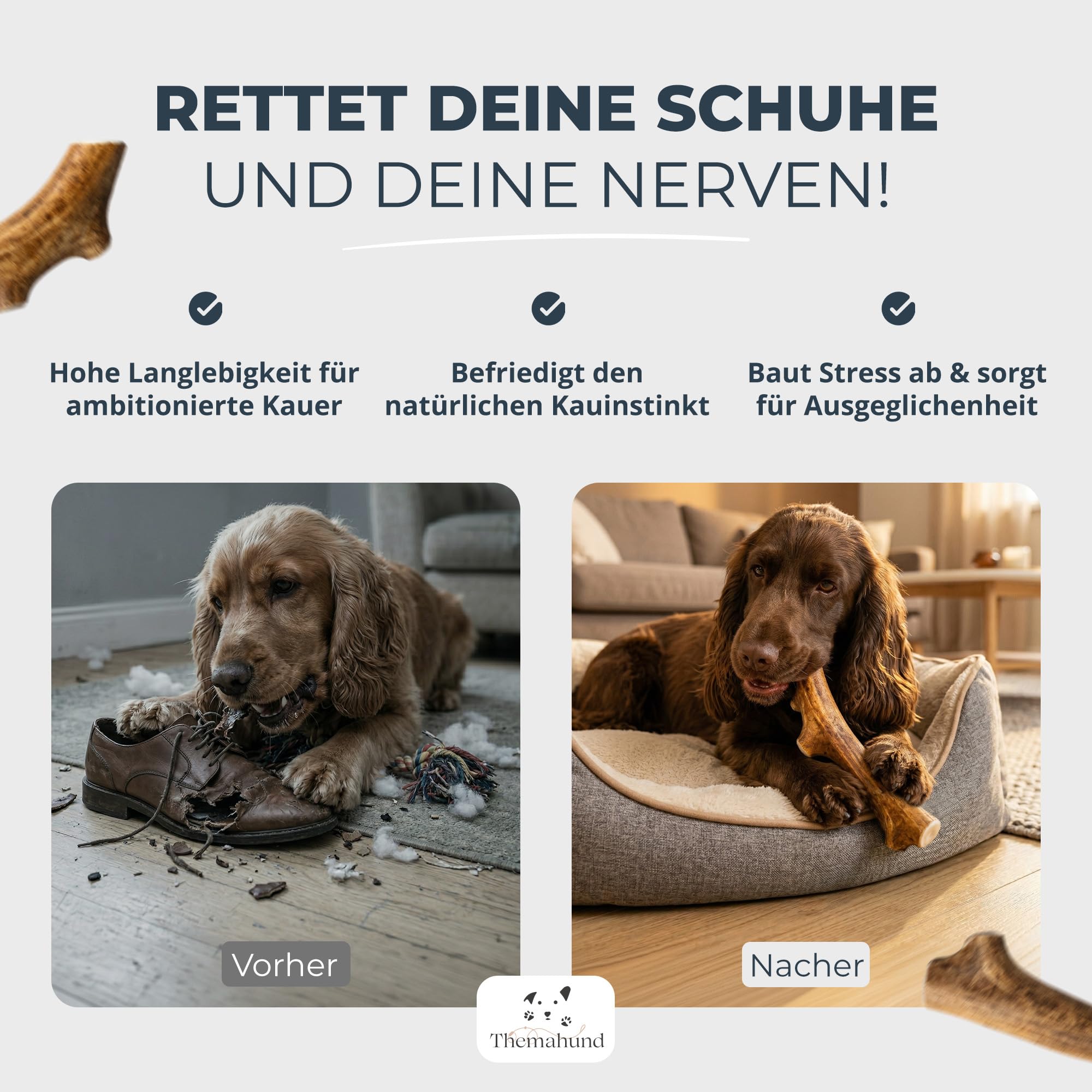 Kaugeweih Hund echtes Rentier | Alternative zu Hirschgeweih Hund & Kauknochen | Extra Lang & Robust | Perfektes Kauholz & Unzerstörbares Kauspielzeug Hunde (L, 1 Stück)