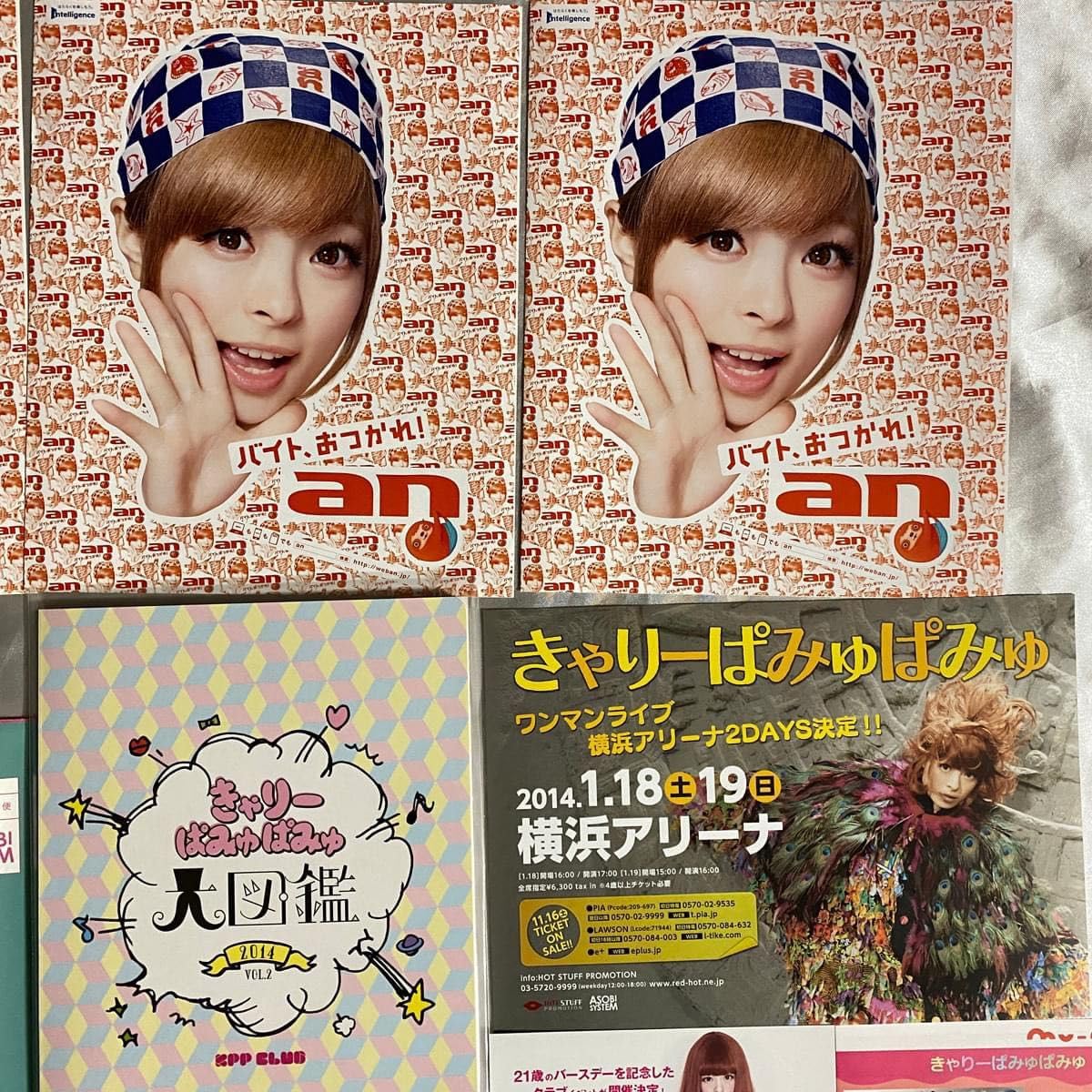 Amazon.co.jp: 2014年きゃりーぱみゅぱみゅ大図鑑他 きゃりー