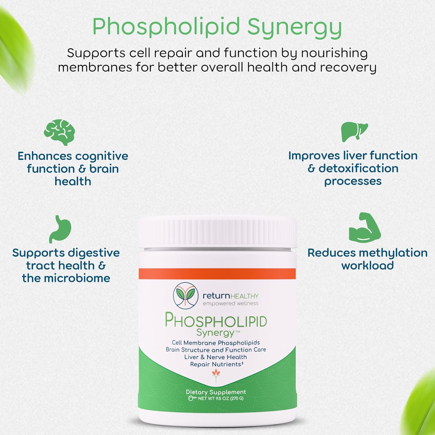 Cell Stabilization Kit - 5-in-1 Mitochondrial Supplements for Cellular Vitality, Gut Health & Brain Support - Health Essentials, Wellness Protocol - Non-GMO, Plant-Based, USA-Made - Image 7