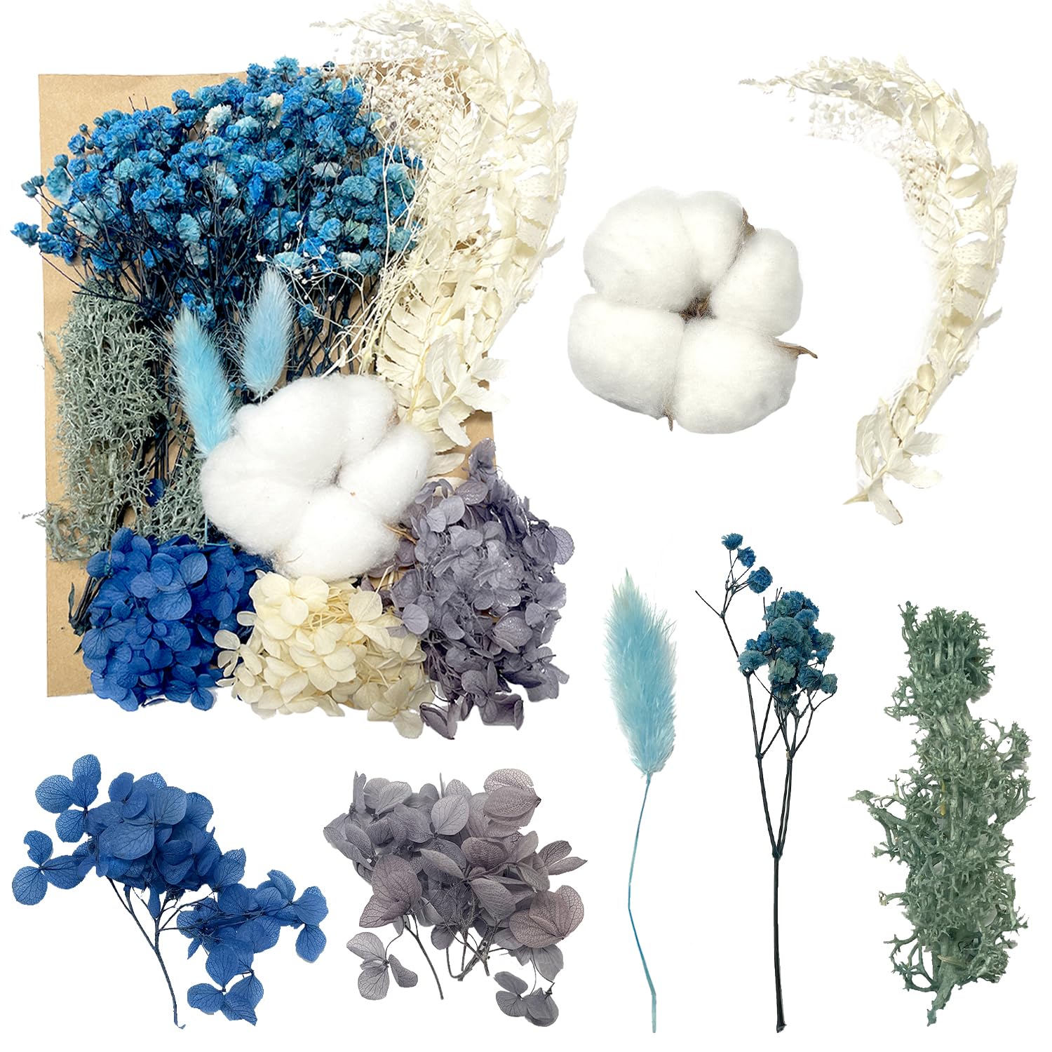 Dried Flowers, Pressed Flowers Dry Flowers Dried Flowers Crafts for Diy Arts Resin Scrapbooking Jewelry Making Floral DecorationsBlue