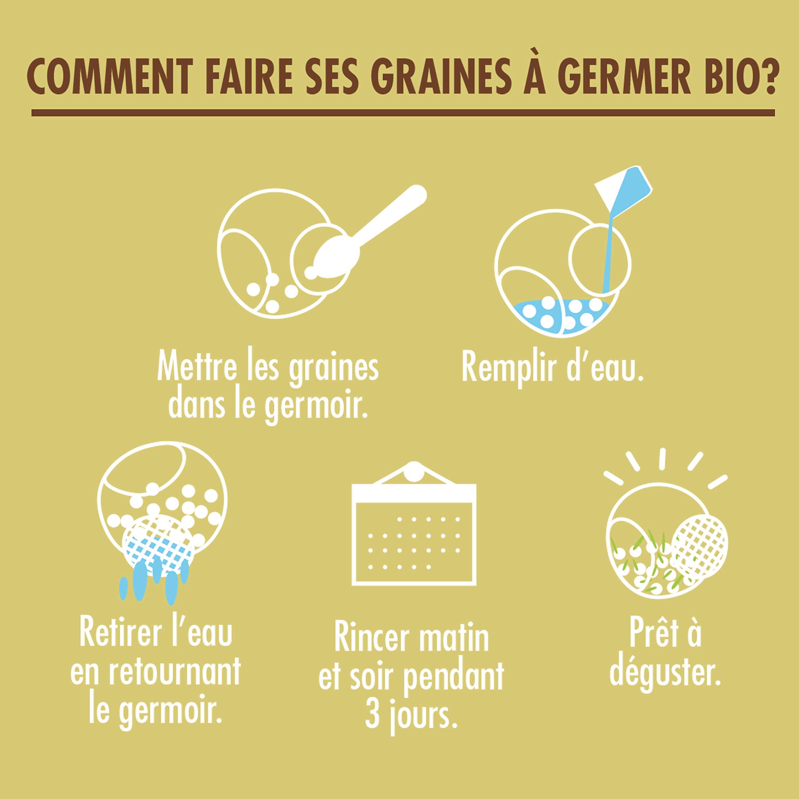 Radis et Capucine - L'atelier Graines À Germer Bio - 4 Sachets