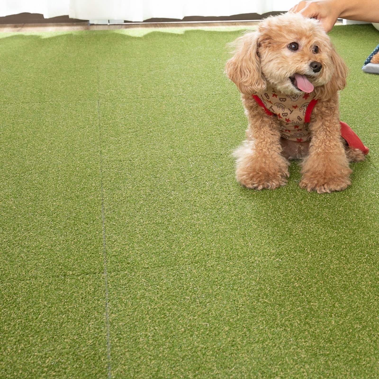 Amazon.co.jp: グラムスタイル 人工芝 タイルカーペット 50x50cm 12枚