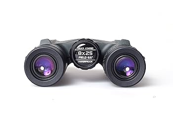 Amazon.com : Sightron SI825 8x25 Binocular (Green) : Electronics