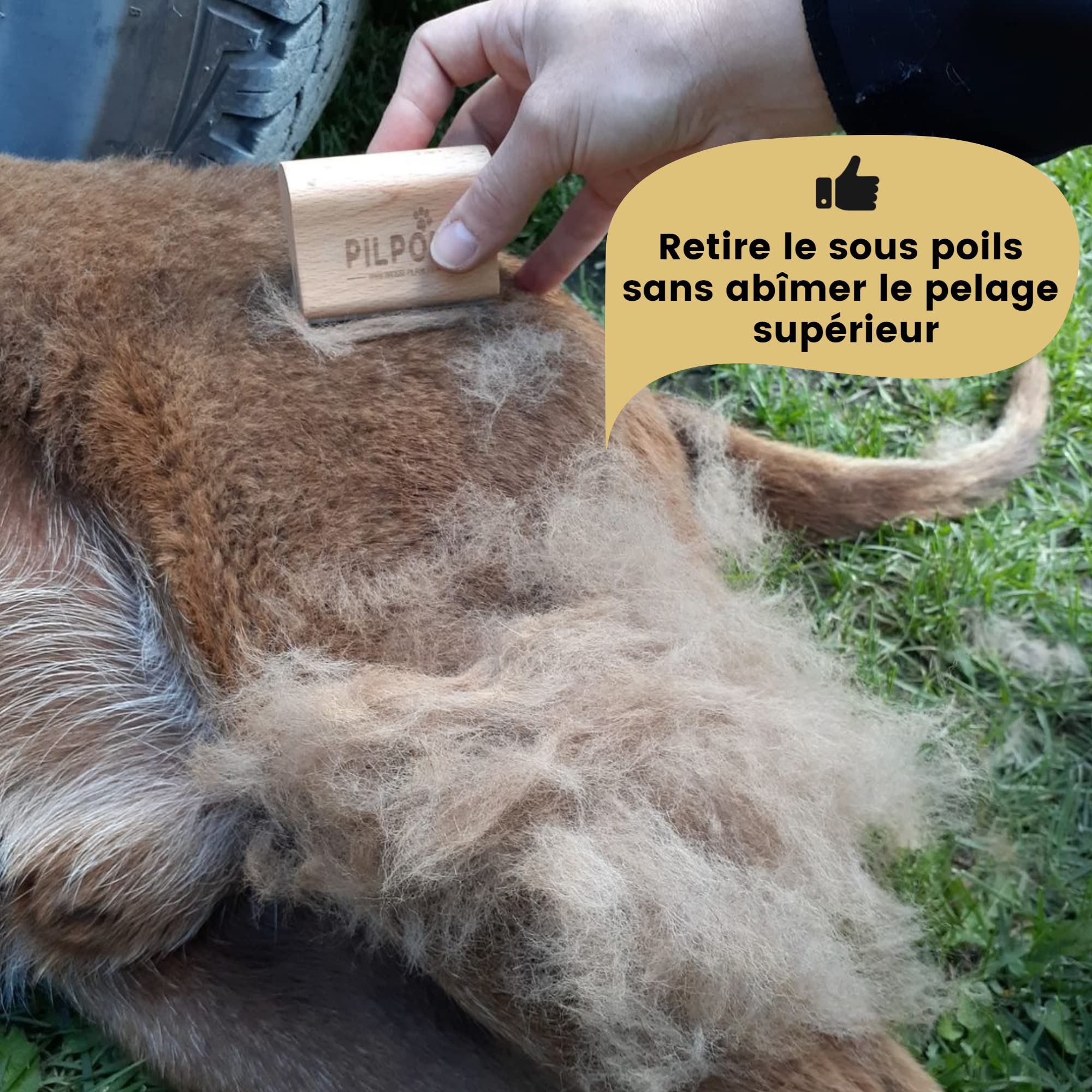 Pilpoil Pack Pro – Brosse Anti-Mue pour Chat et Lapin Poil Court en Bois + Raclette Anti-Poils Animaux – Accessoire de Toilettage – Taille S