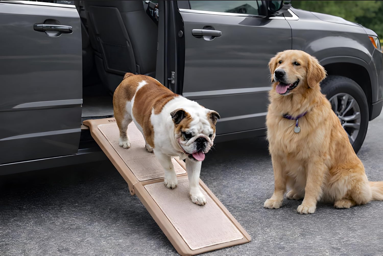 Pet Gear SupertraX Ramps for Dogs and Cats, Maximum Traction Surface, Portable/Easy-Fold (No Tools Required), Built in Handle for Travel, 5 Models, 42″ L X 16″ W, Supports 150 lbs, Wheat