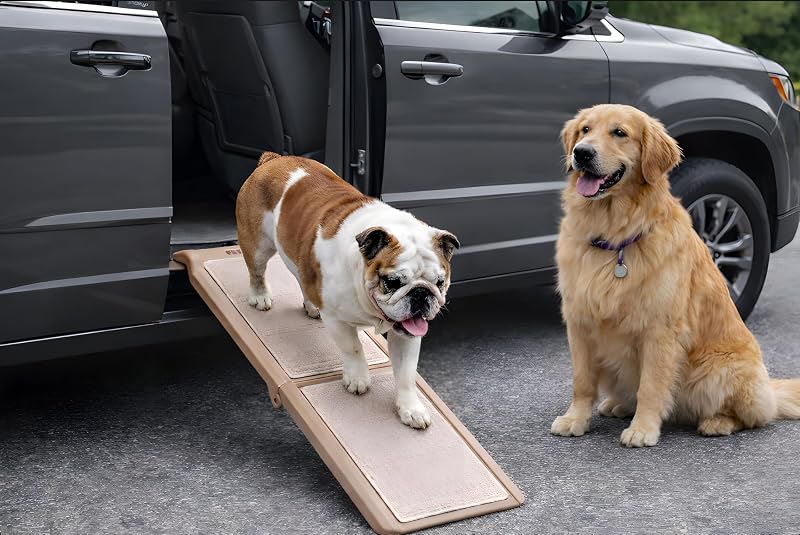 SupertraX Ramps for Dogs and Cats, Wheat | Maximum Traction Surface, Portable/Easy-Fold, Built in Handle for Travel, 42" L X 16" W, Supports 200 lbs