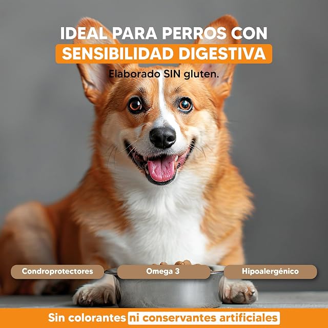Foto 4 de 8 de Yerbero Nature Chicken & Rice Pienso sin Gluten con Pollo para Perros