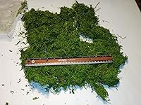 Review Image by Thom D CACC Thom D CACC