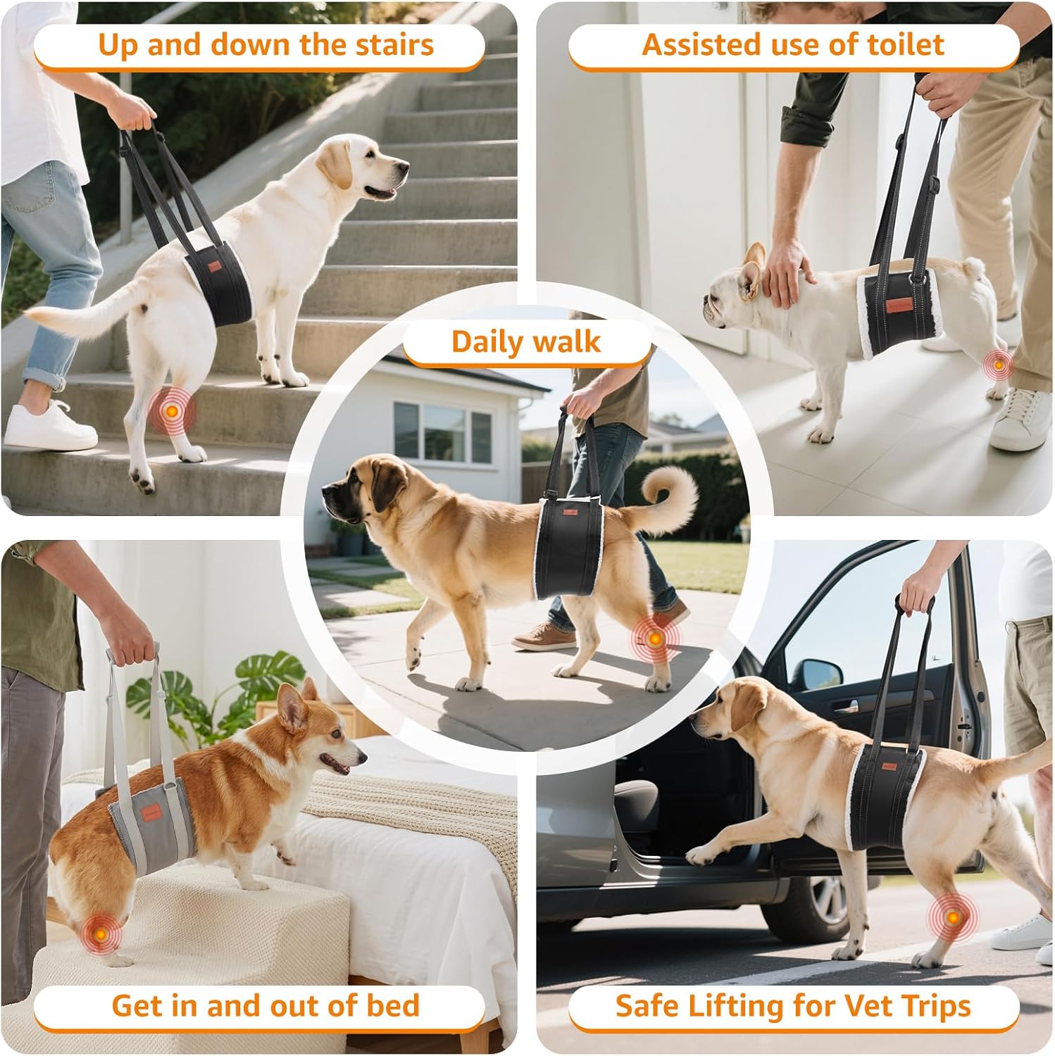 LOOBANI Portable Dog Sling for Back Legs, Hip Support Harness to Help Lift Dogs Rear for Canine Aid and Old K9 Cruciate Ligament Rehabilitation