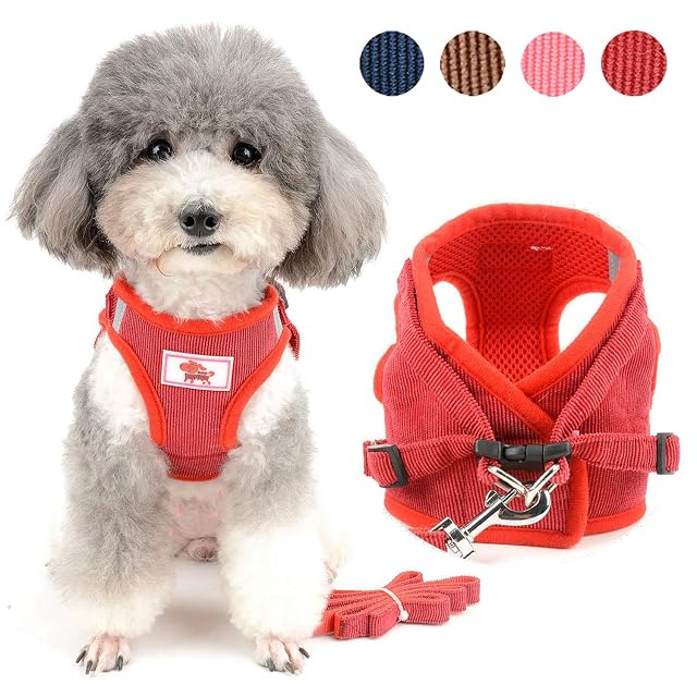 Zunea - Arnés y correa para perros pequeños, ajustable, reflectante, chaleco arnés de pana suave para gatos…