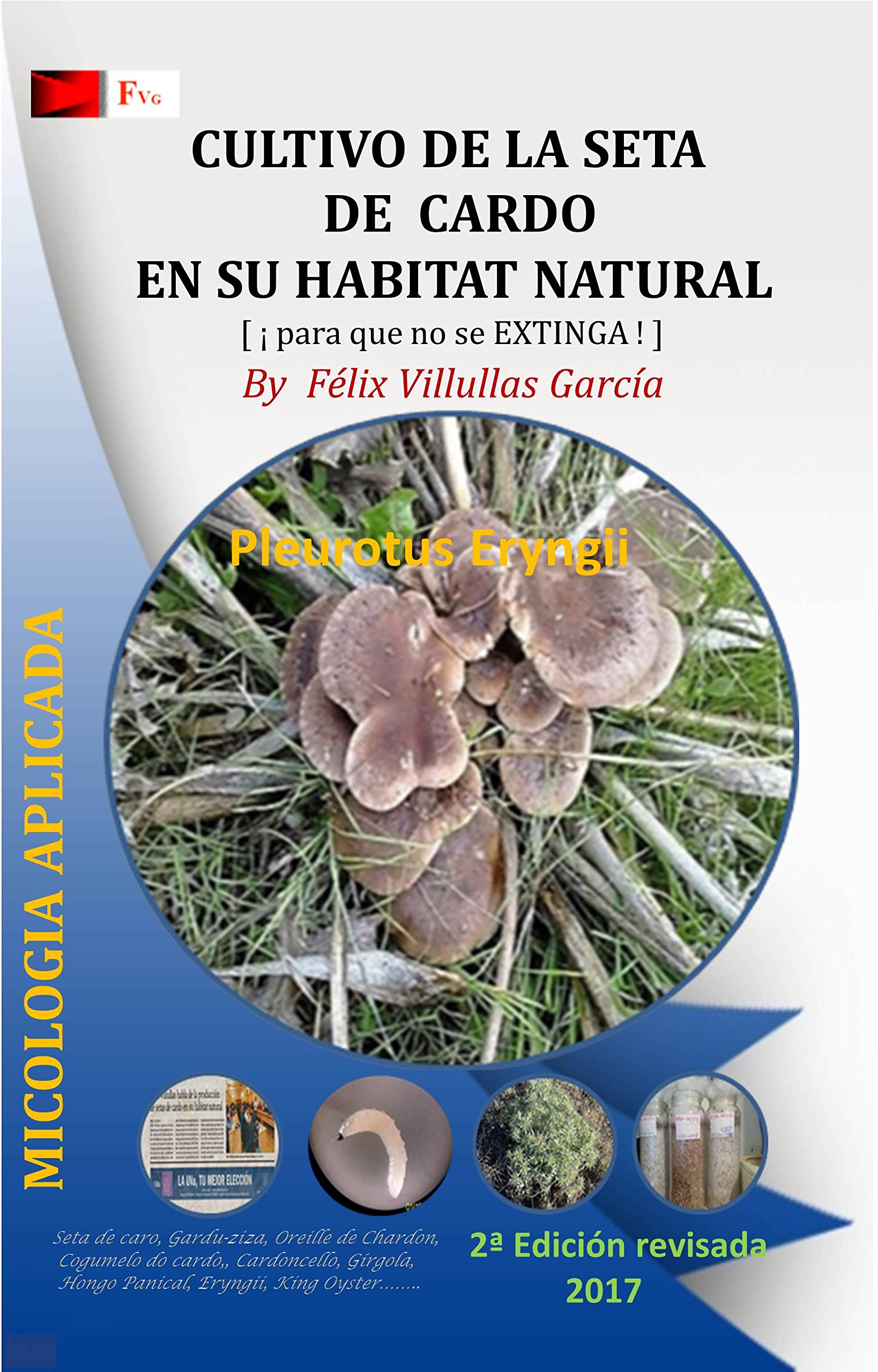Buy Cultivo de la Seta de Cardo en su habitat natural [Fvg] PROYECTO