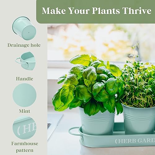 Miniatura 3 de PERFNIQUE Jardín de hierbas para interior, maceta de jardín de hierbas para interiores y exteriores, macetas de granja, jardín de hierbas en el