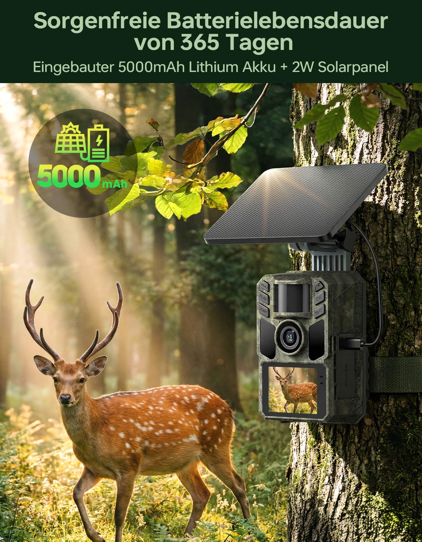 Wildkamera mit Handyübertragung App,Wildtierkamera 4K 64MP WLAN Solar mit Lithium-Batterie, Bewegungsmelder Nachtsicht, Inklusive 64GB SD Karte, 0,1s Auslösezeit, IP67 Wasserdicht