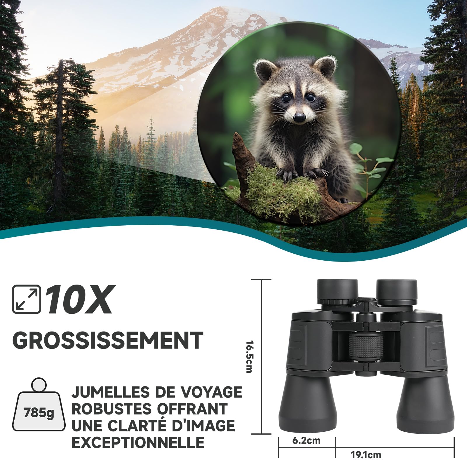Jumelles Adultes 10x50 Compact pour l'Ornithologie | Jumelles Adultes Puissante pour Observation des Oiseaux,HD Portables étanches pour Football, Concerts