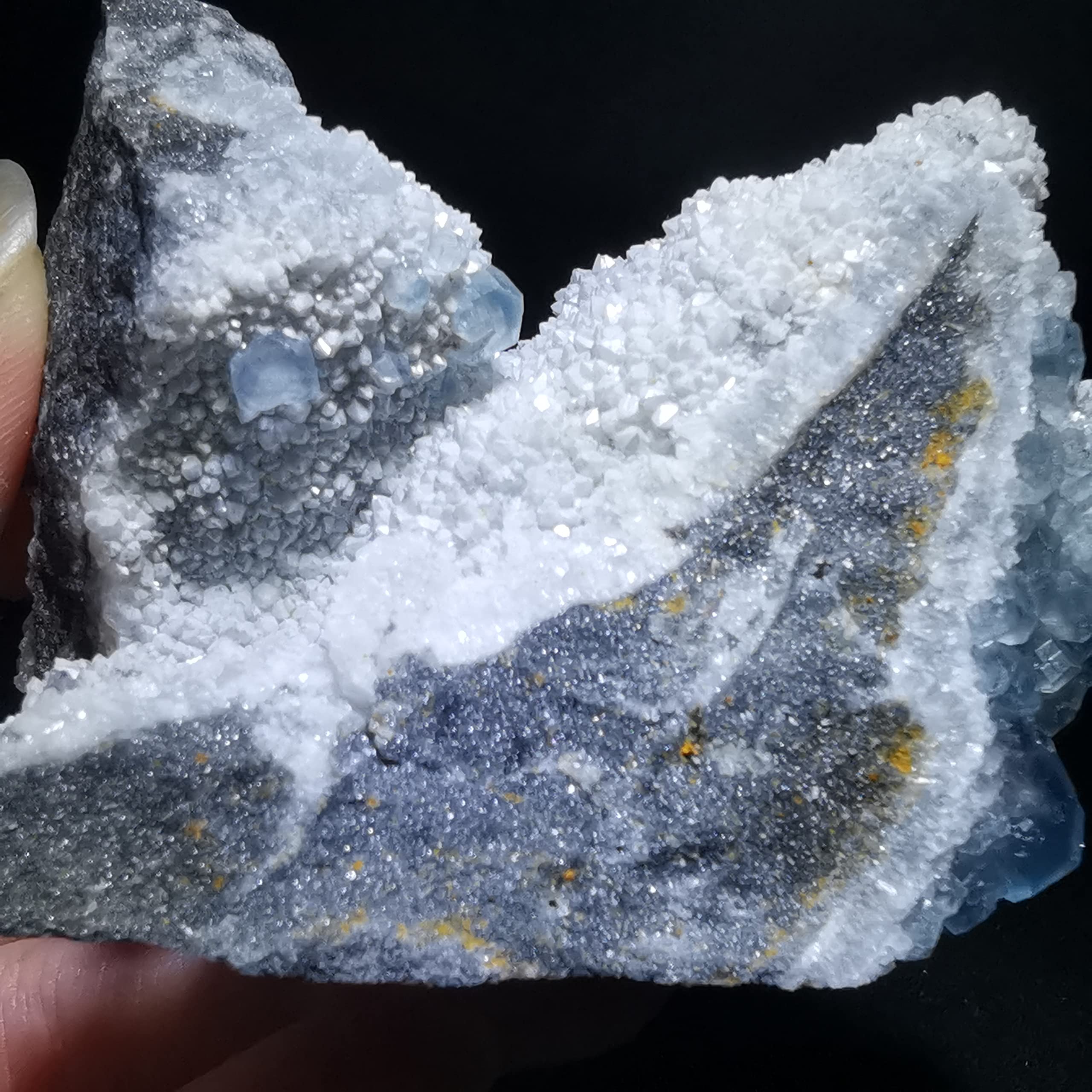 I Collect Dead Things In Jars Taxidermist T-Shirt