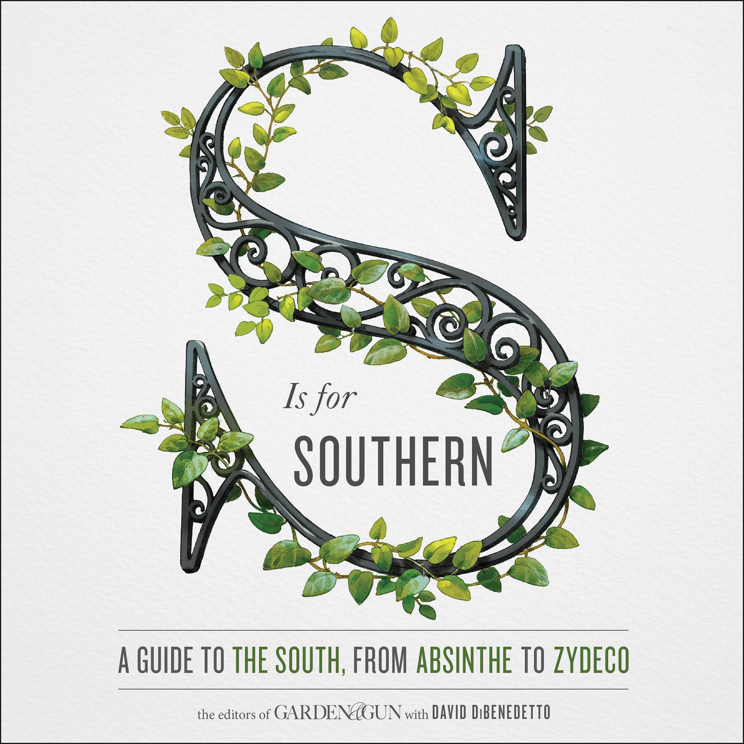 Cover art for S Is for Southern