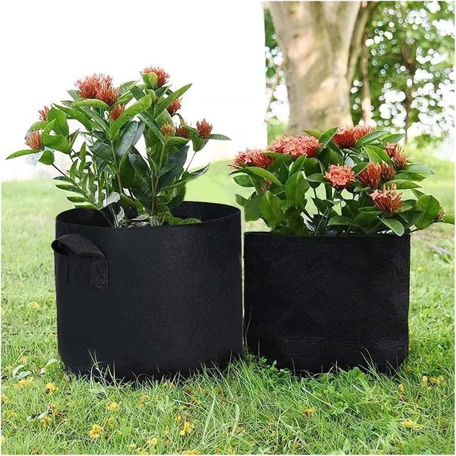 5pcs Plant Grow Bag 3-30Gallons Palnt Flower Strawberry Potato Vegetable Planting Bag Black Nursery Pot Planting Pots for Plants(4Gallons 25x30cm)