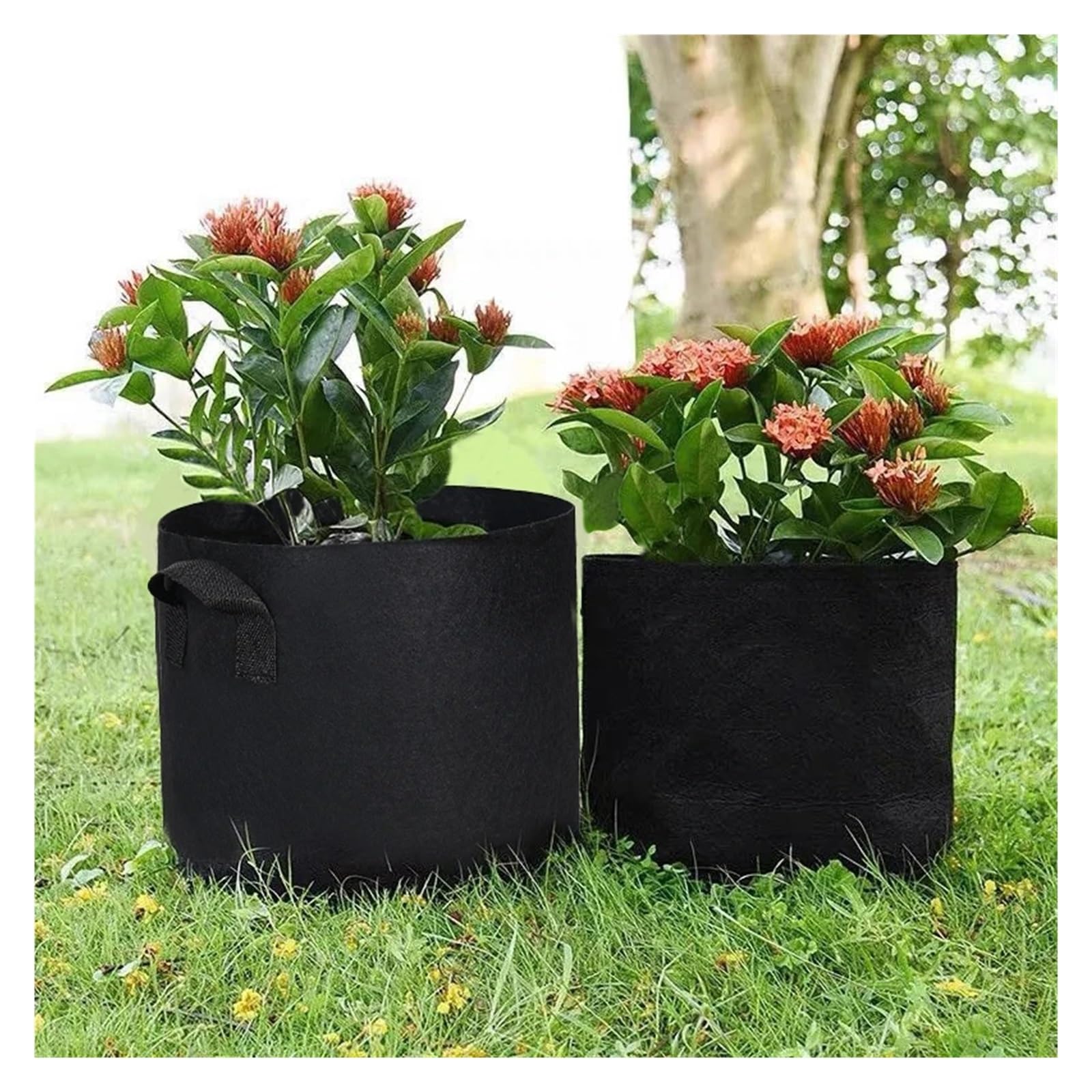 Bolsas de Cultivo 5PCS 3-30 Gallons Garden Vegetable Planting Bag Felt Grow Bags Plant Seedling For Potato Tomato Flower Accessories(15Gallons 50x30cm)