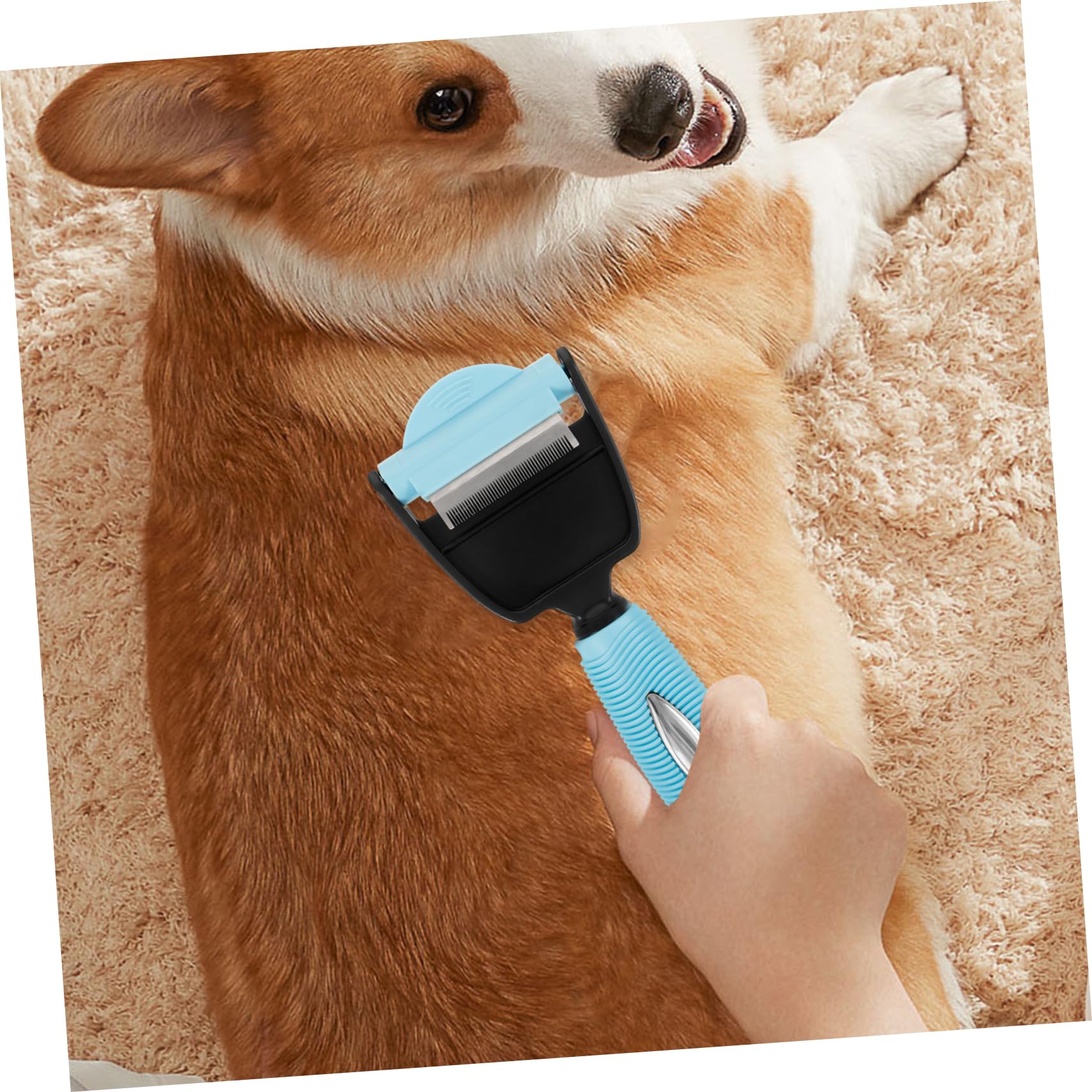 minkissy 2stücke Pet Supplies Dual Comb Für Hunde Multifunktionale Haarentfernbürste Ergonomischer Griff s Zur Fellpflege Und Haarschuppenentfernung Für Haustiere