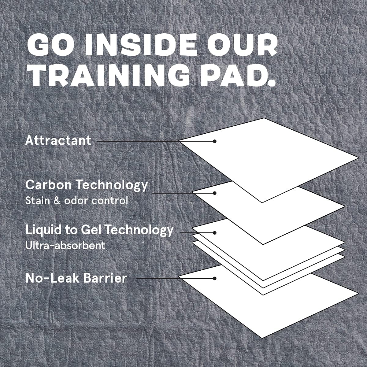 Barkbox Odorless Puppy Pads | 100 Count | Quick Dry, Ultra Absorbent Activated Charcoal Dog Pee Pads, Pet Training Accessories for Housebreaking, Pheromone Attractant | Charcoal | Regular