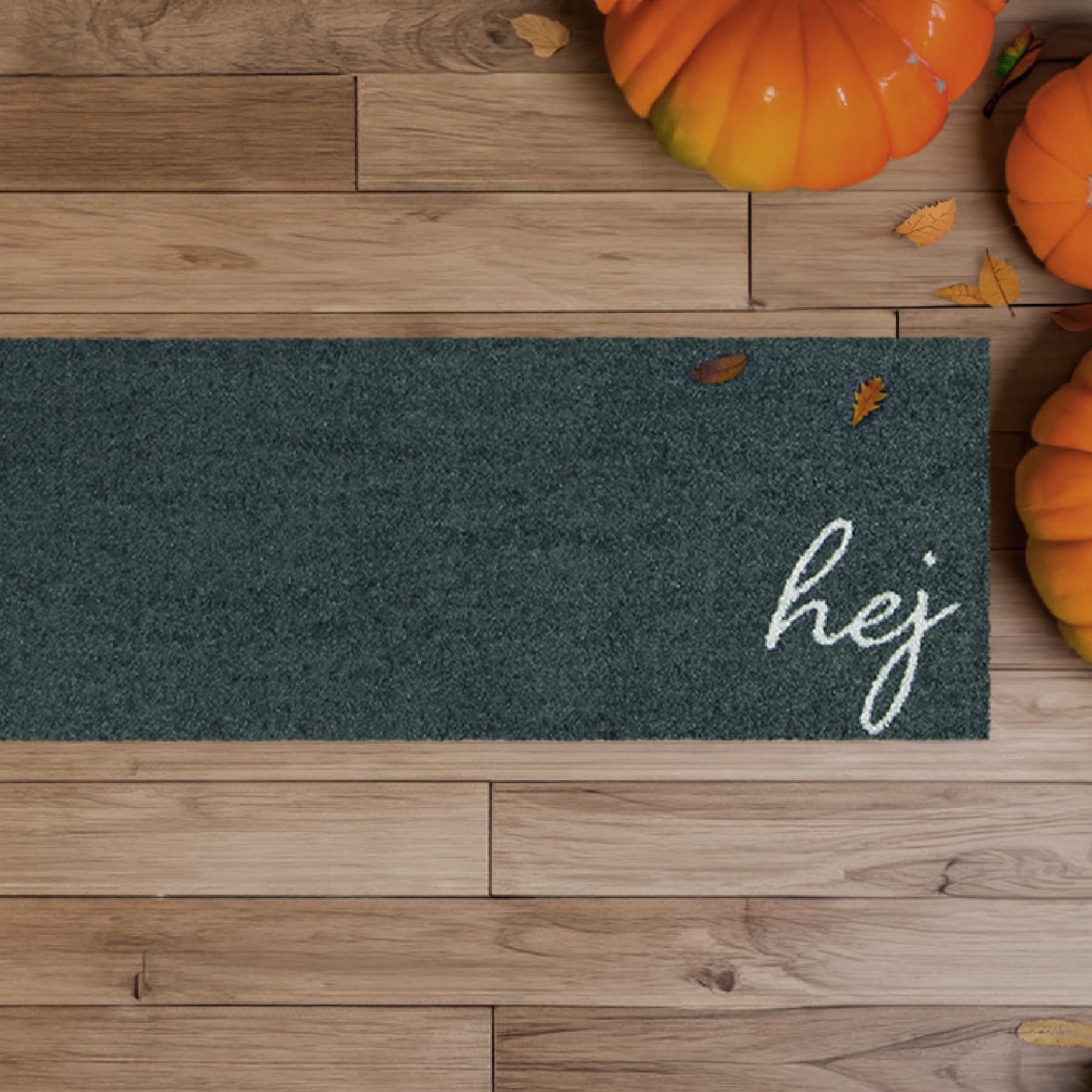 MOCAVI Hej Paillasson lavable pour l'extérieur et l'intérieur - Anthracite - 30 x 100 cm - Tapis long et étroit - Pour enlever les chaussures - Décoration intérieure et extérieure - Tapis de porte
